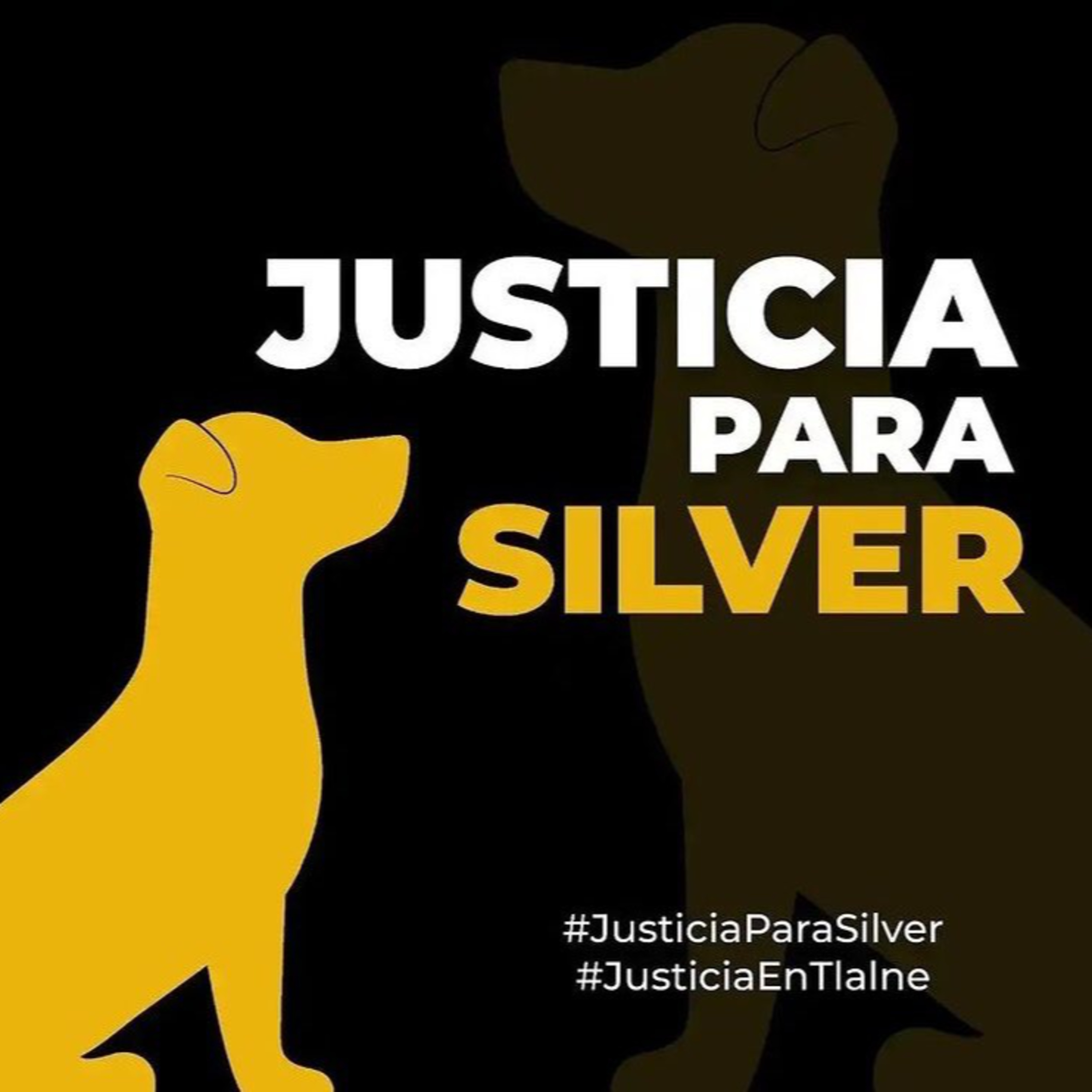 Contigo Puebla