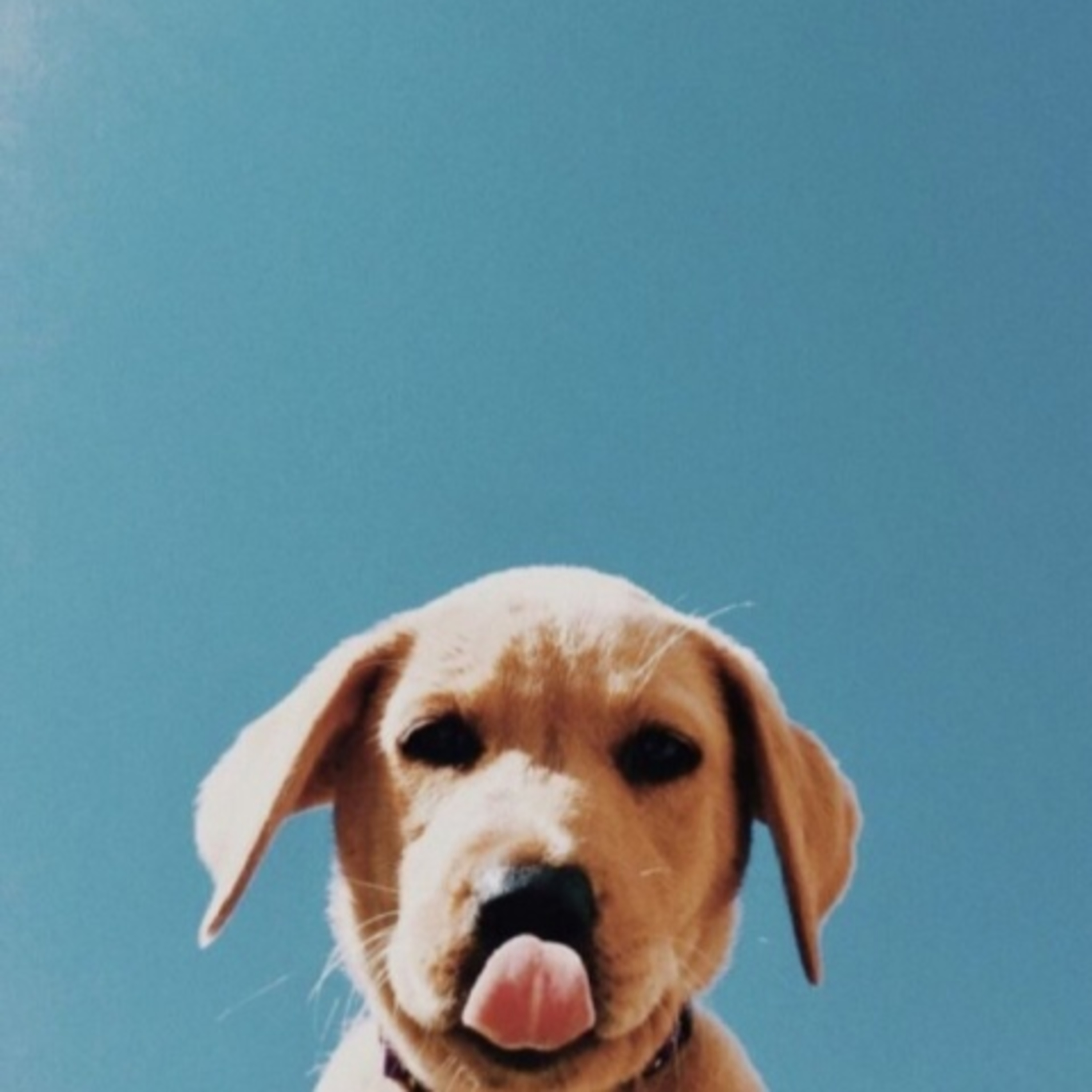 episode 2 episode artwork