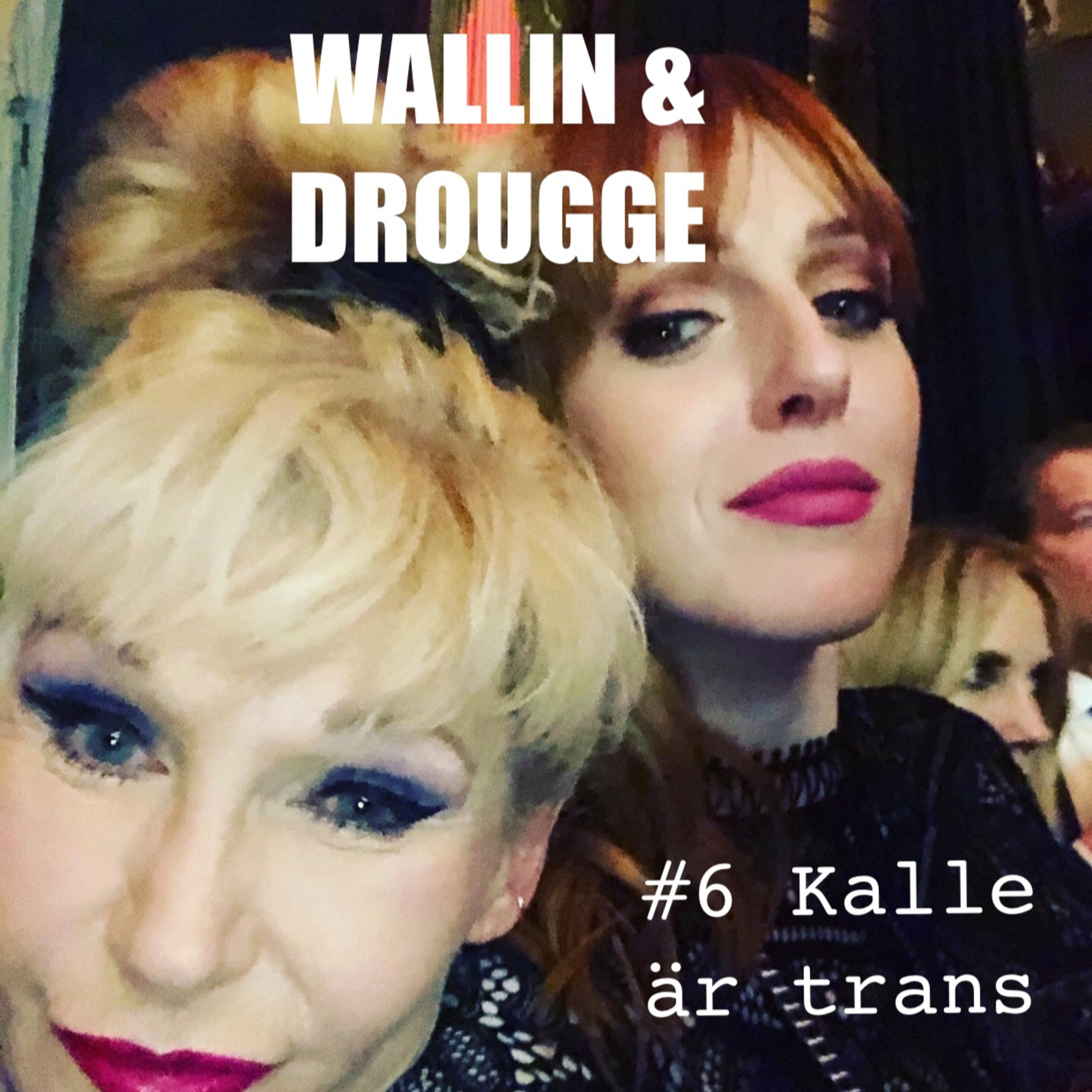 Wallin & Drougge