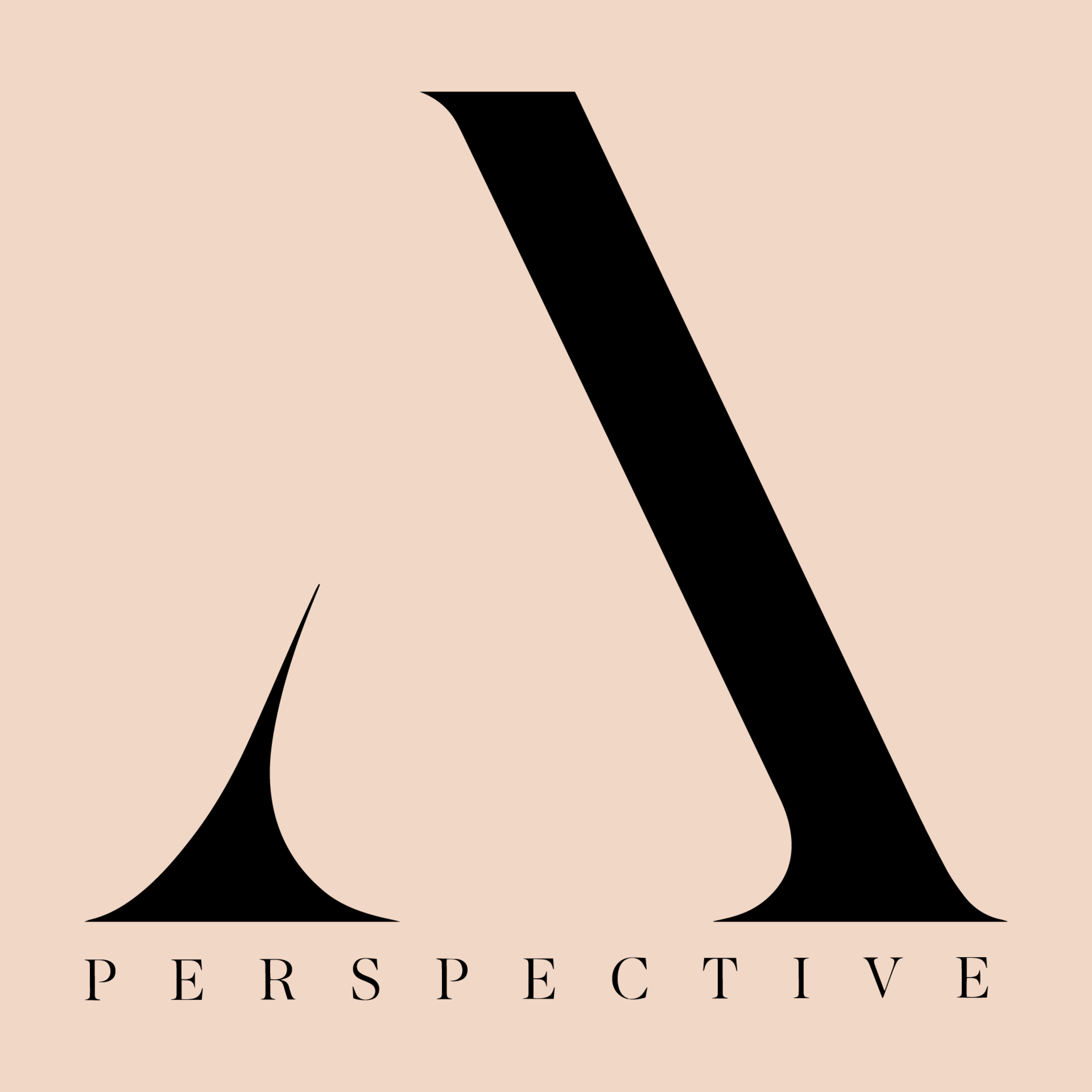 Aneu Perspective