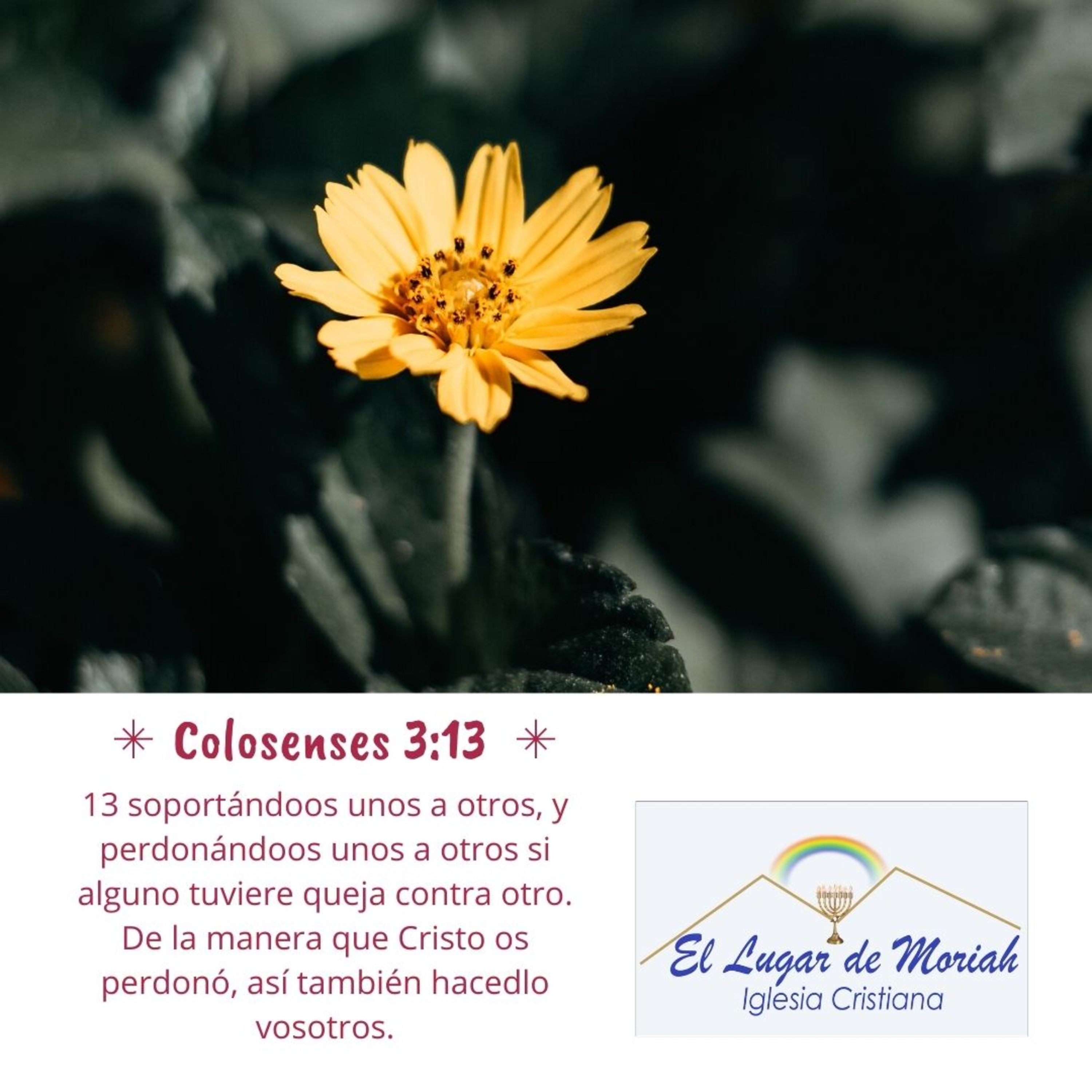 EL LUGAR DE MORIAH