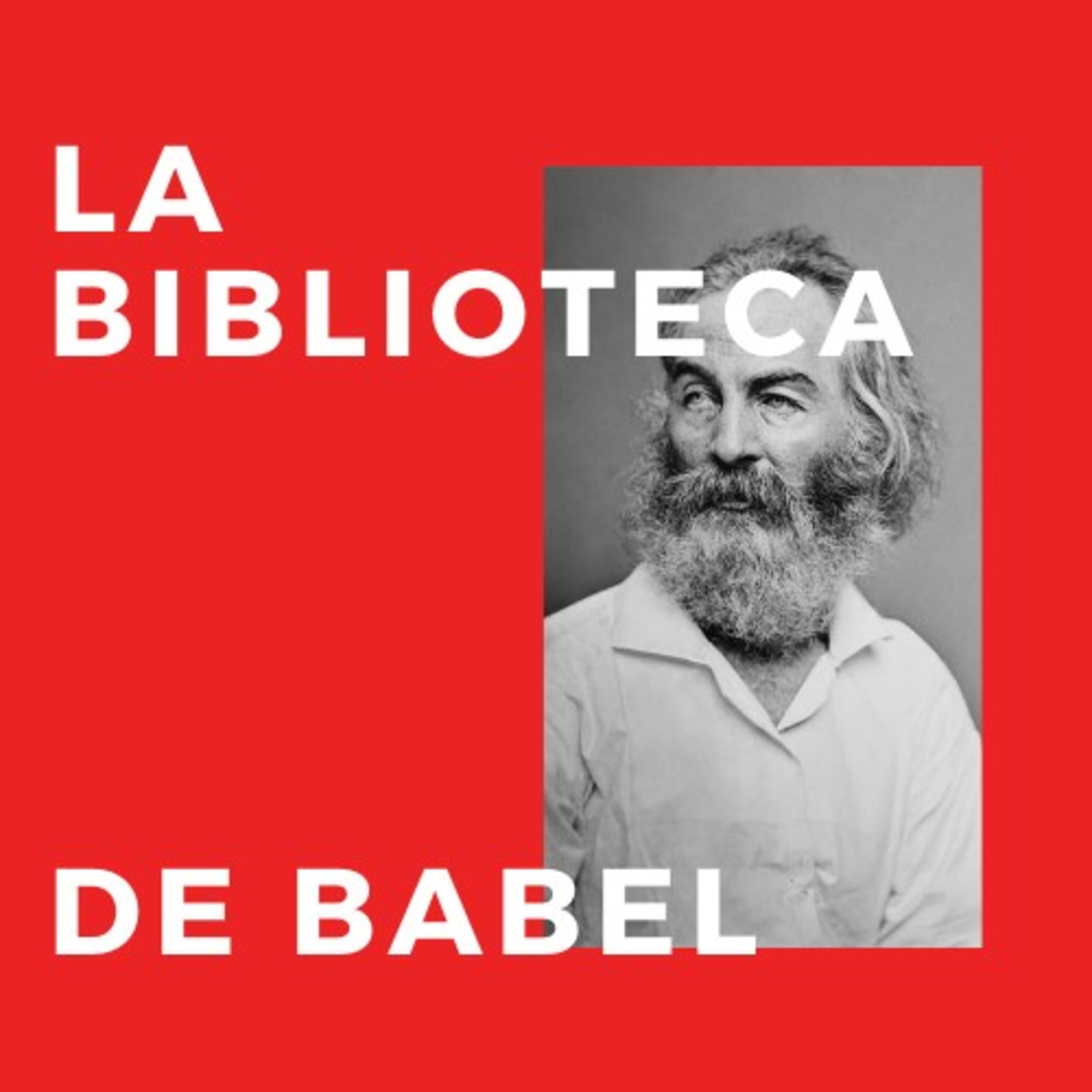La Biblioteca De Babel