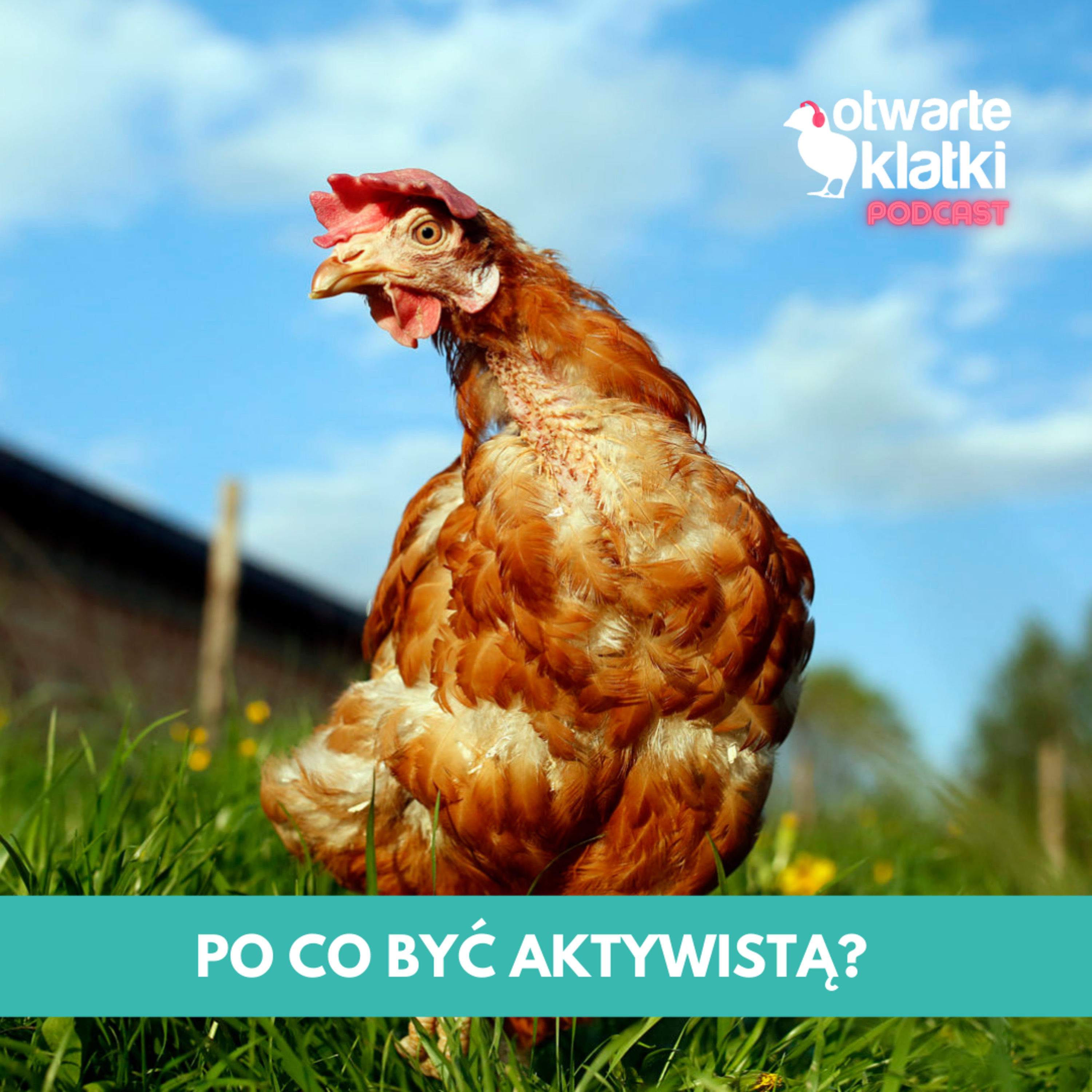 Otwarte Klatki Podcast