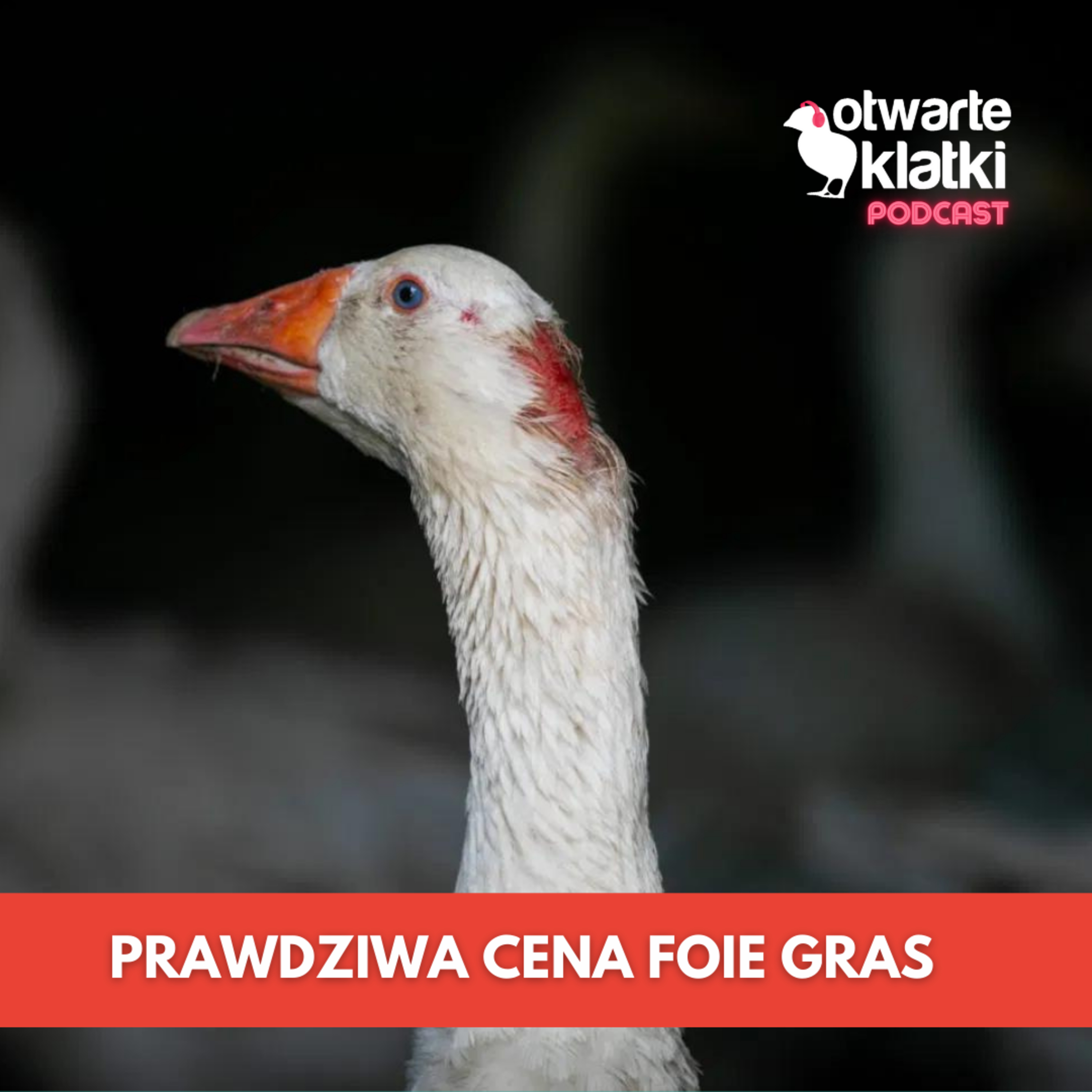Otwarte Klatki Podcast