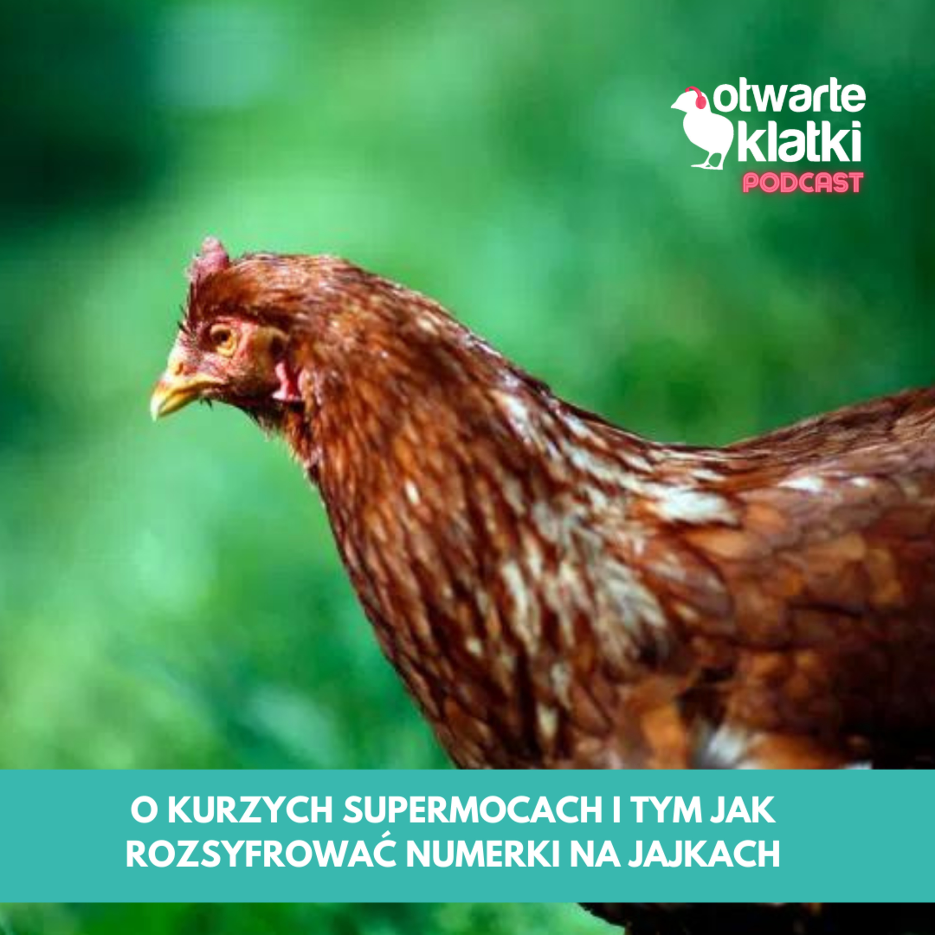 Otwarte Klatki Podcast