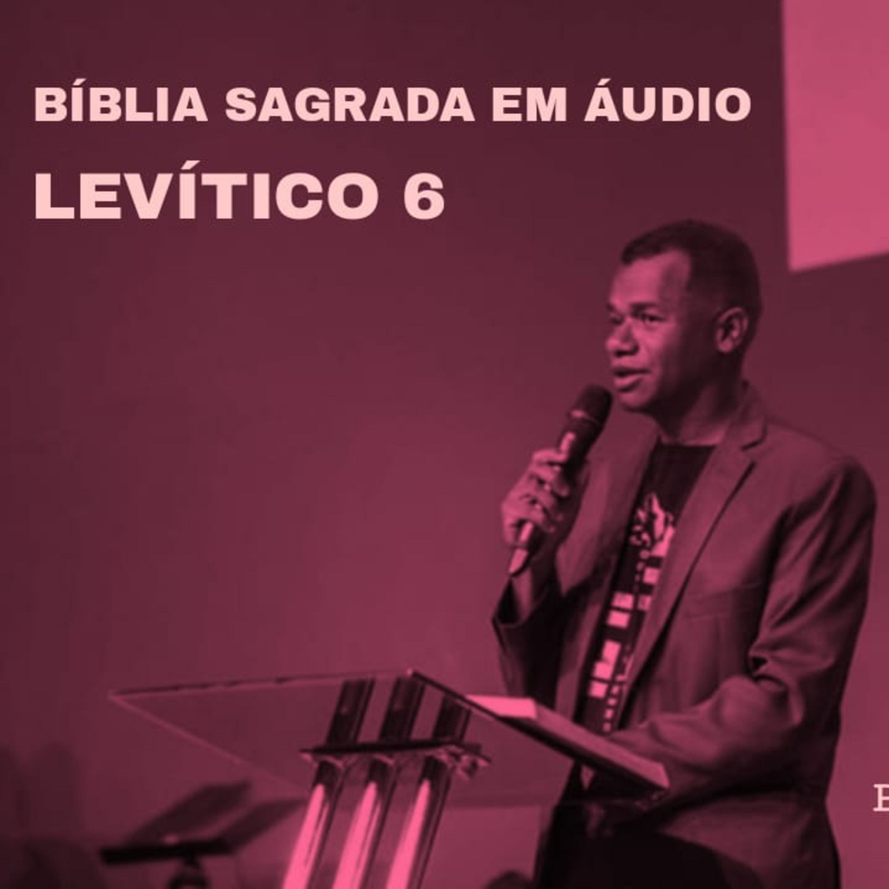 Bíblia em áudio - Levítico 6 episode artwork