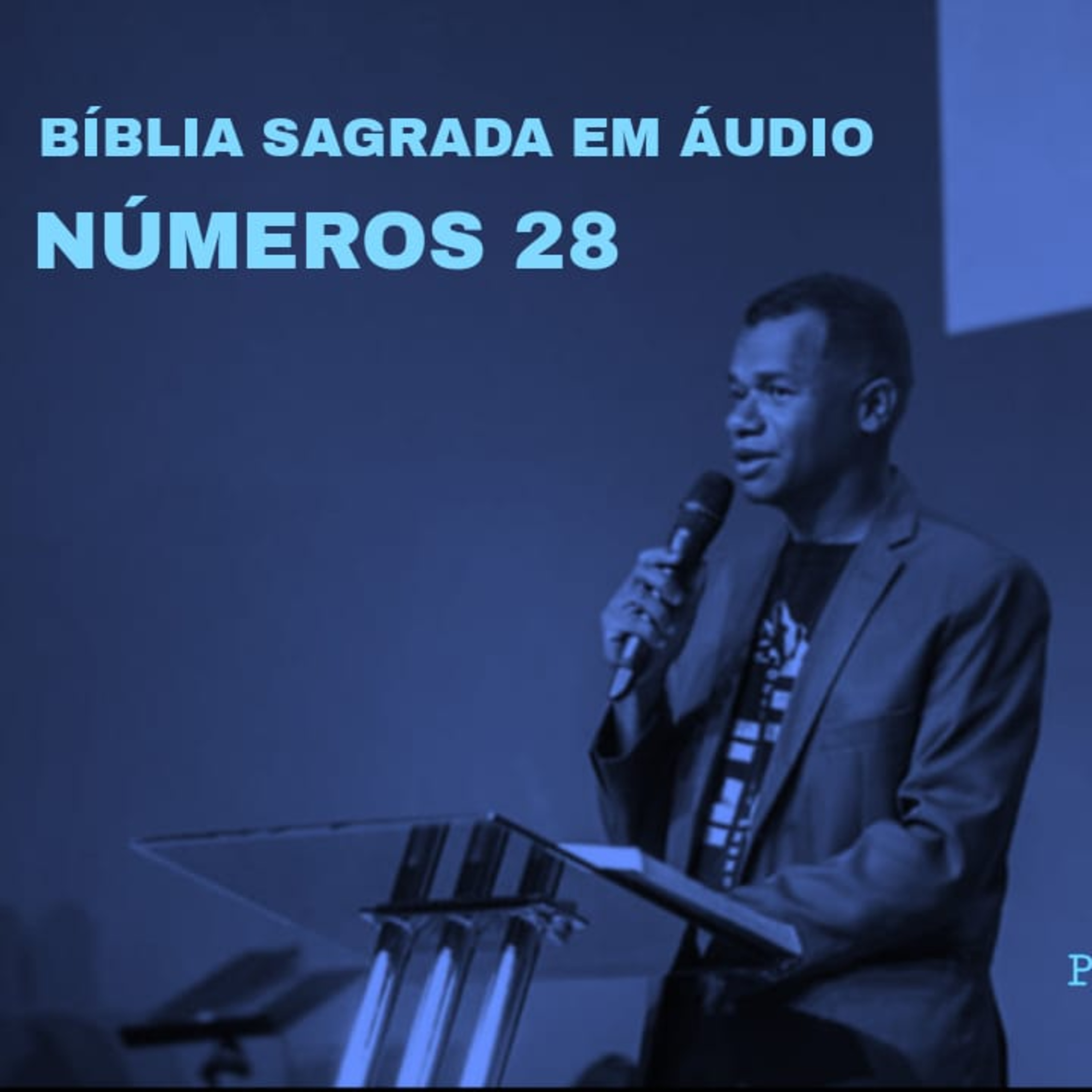 Bíblia em áudio - Números 28 episode artwork