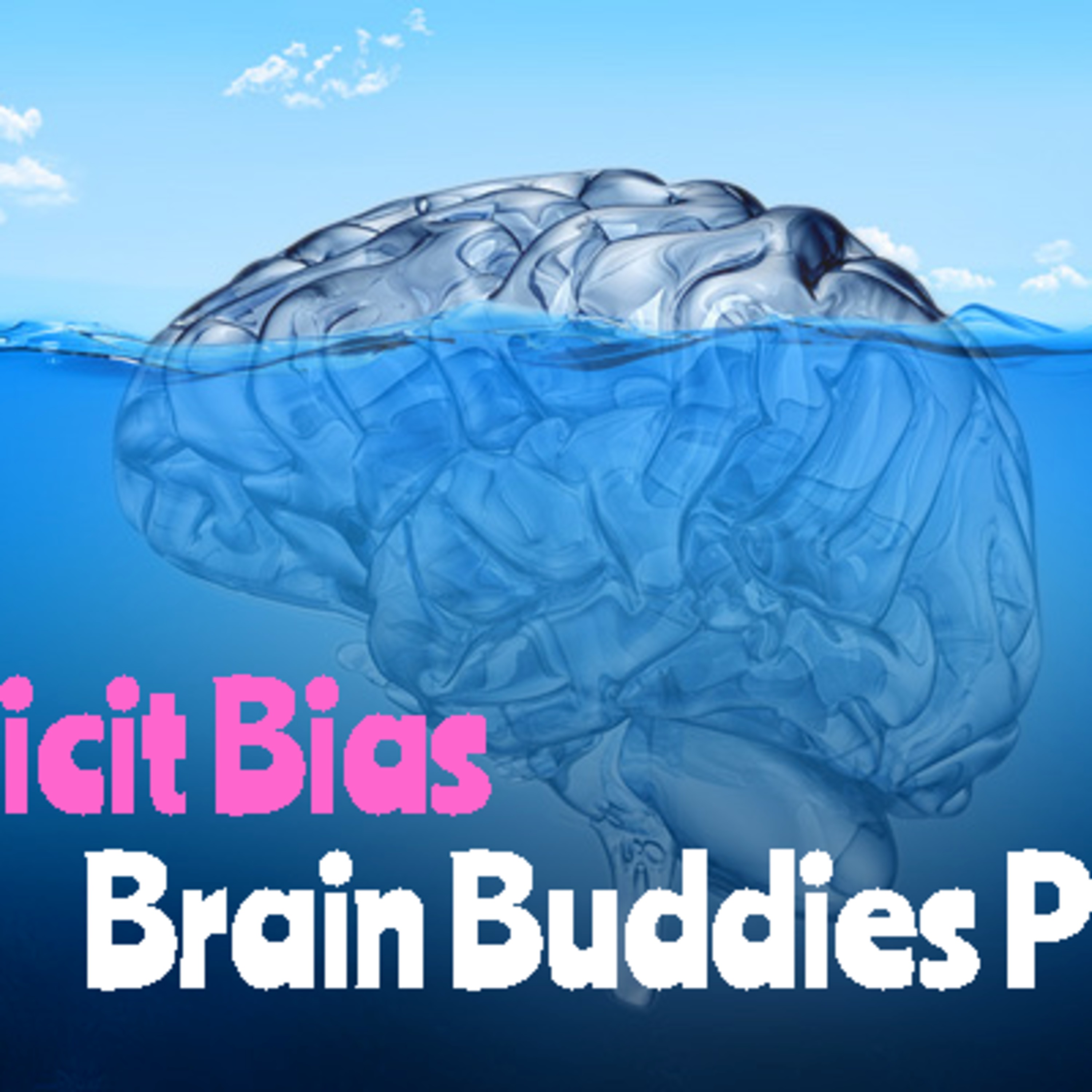 Implicit Bias episode artwork