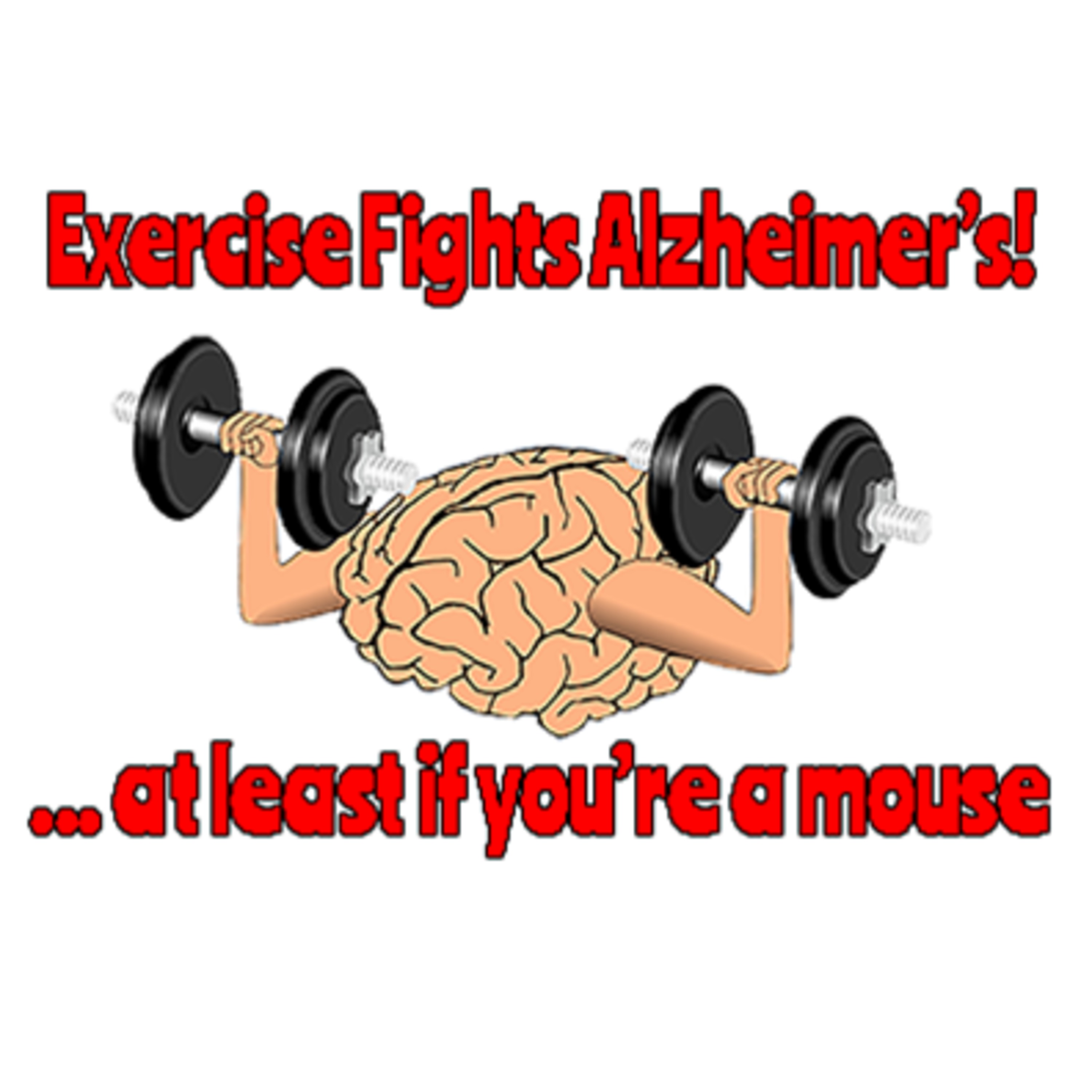 Chicago Brain Buddies