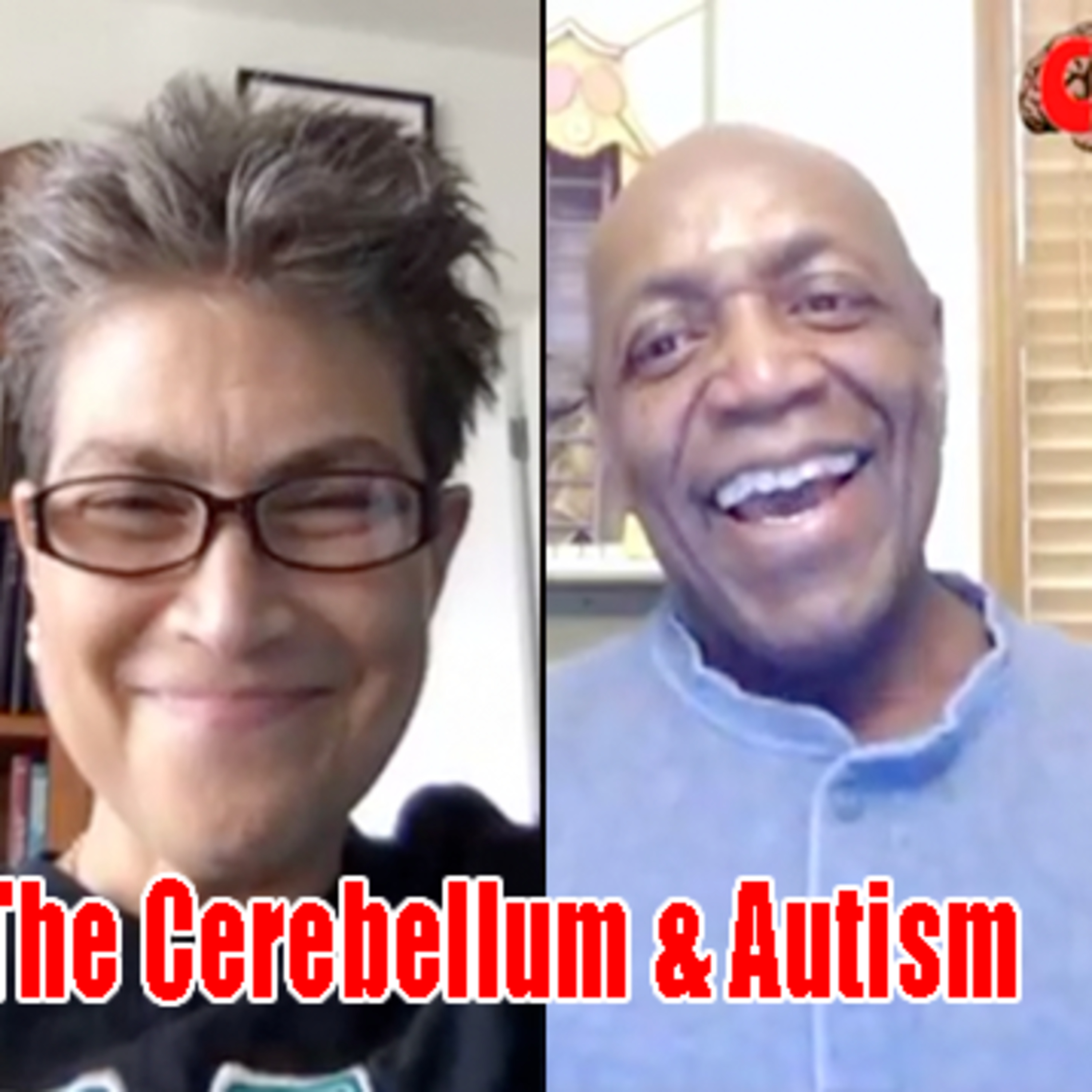 Chicago Brain Buddies