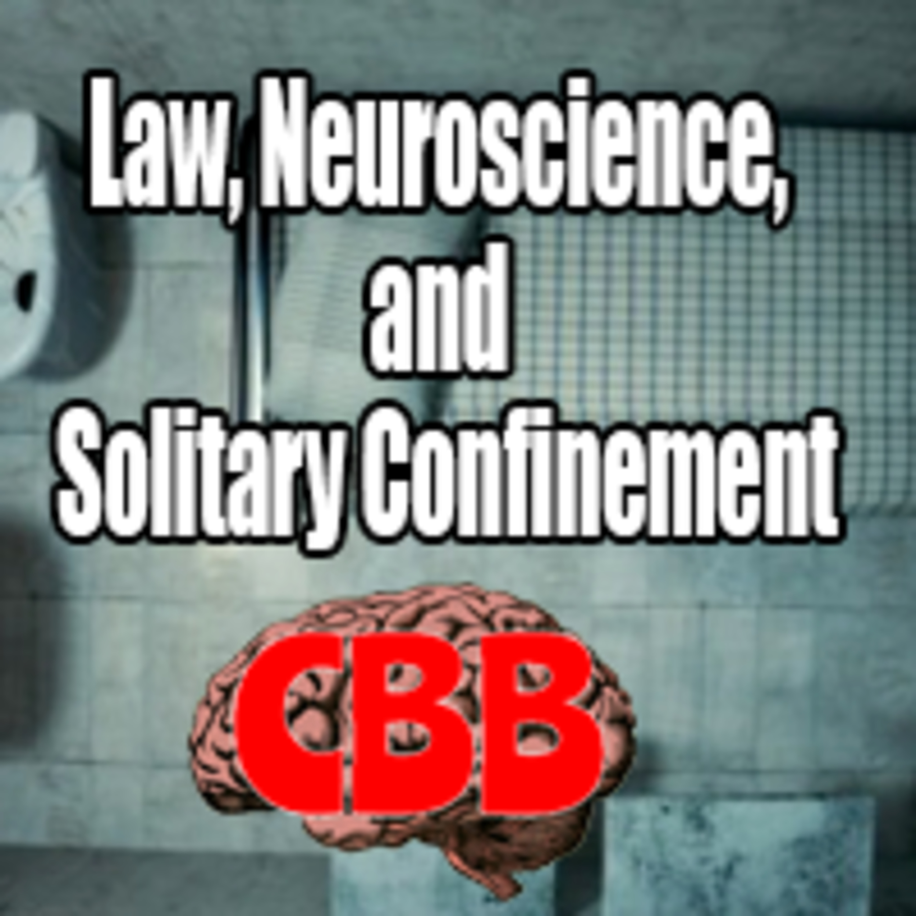 Chicago Brain Buddies