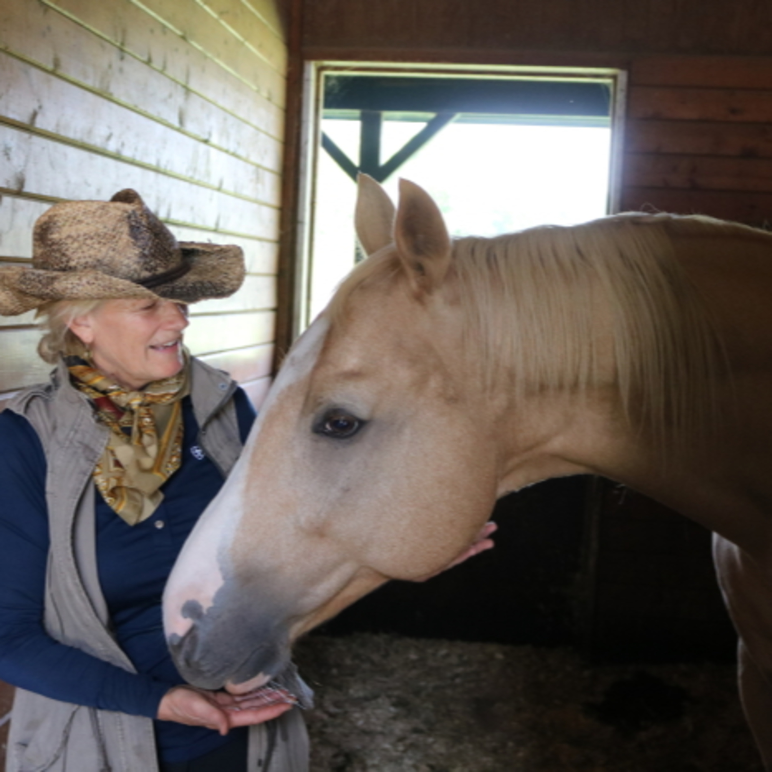 Cari Swanson, Horse Listener (Aired December 28 and 29, 2019)