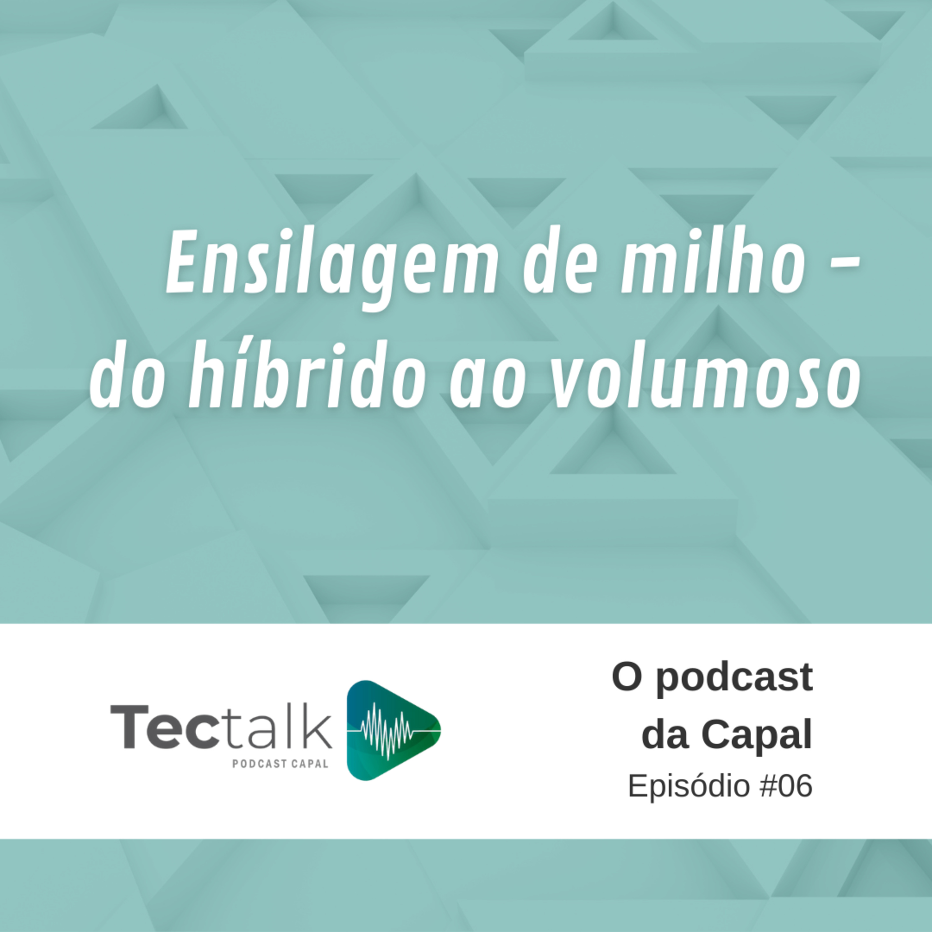 TecTalk - O podcast da Capal