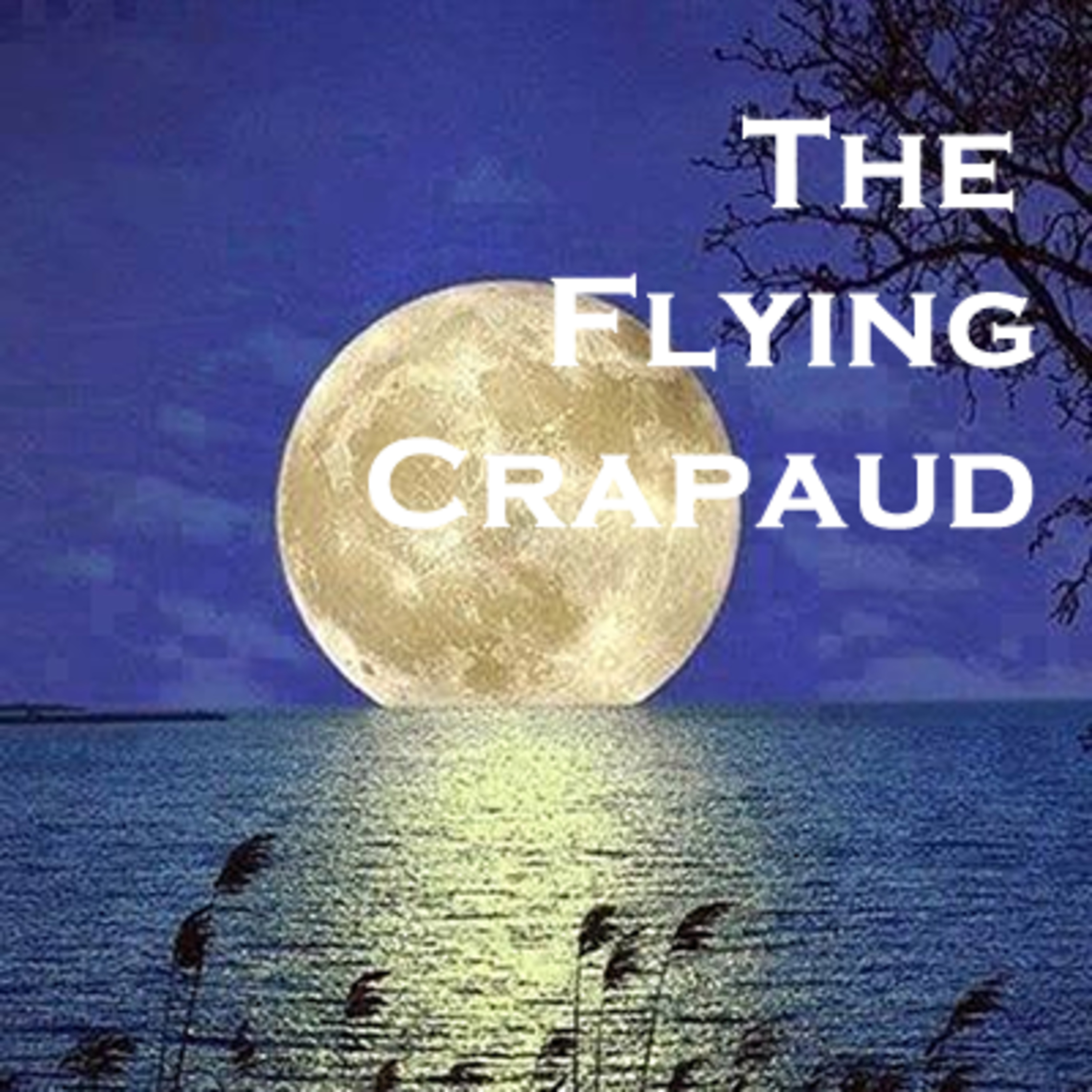 This Week in Interview - The Flying Crapaud Collective episode artwork