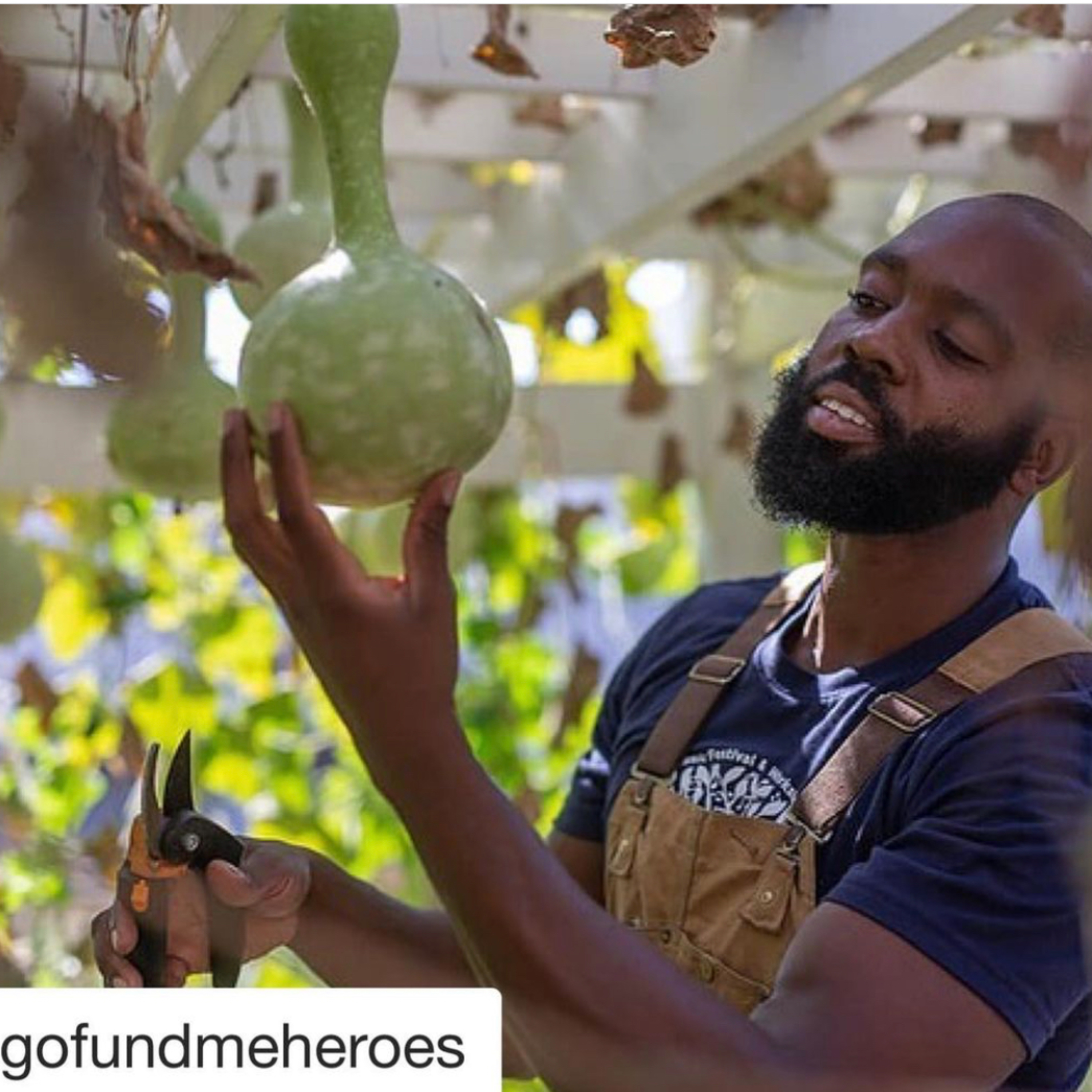 Untapped Potential: Kofi Thomas, From Dominican Parents to the Ellen DeGeneres Show. Is Farming in our DNA? episode artwork