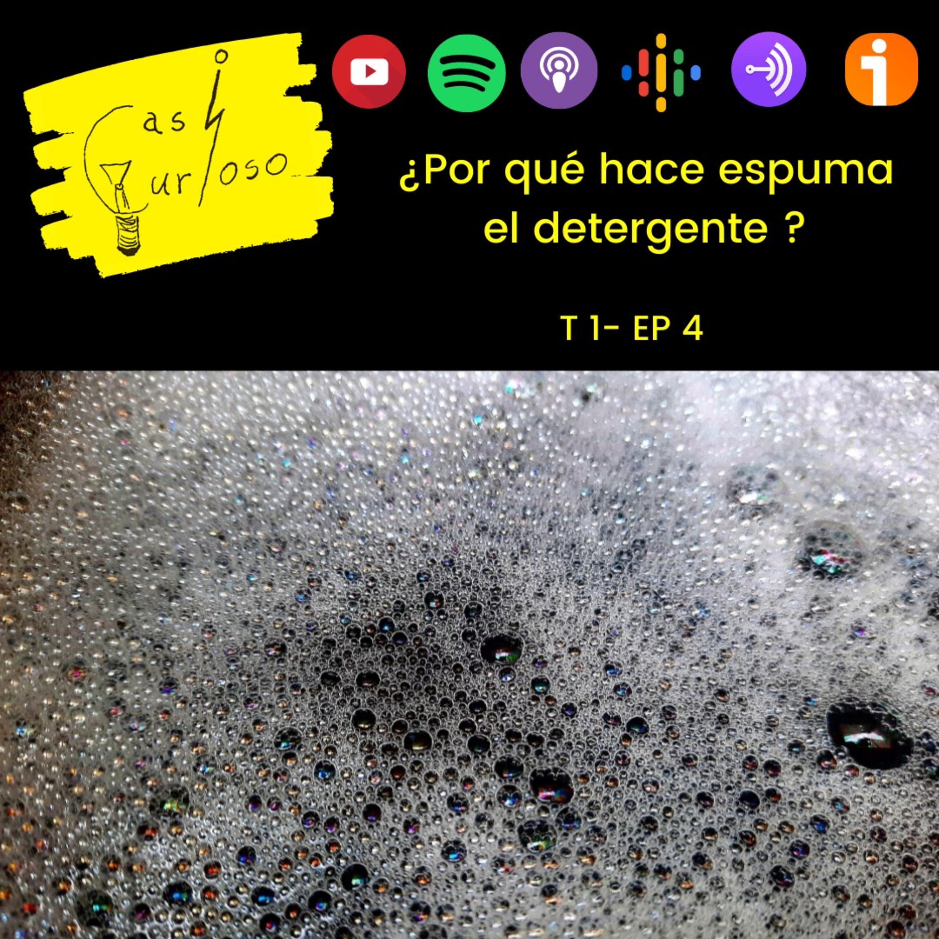 Casi Curioso