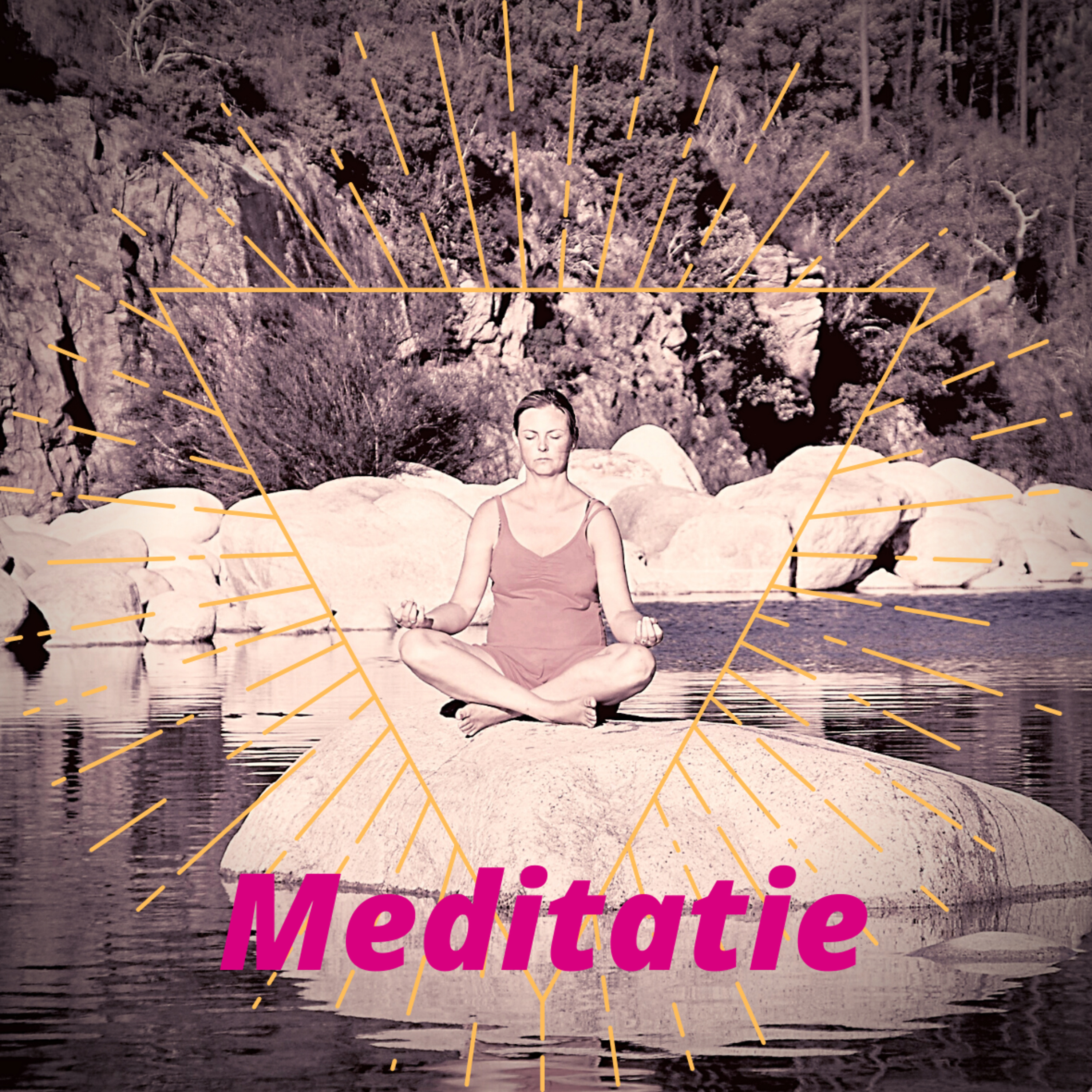 Fiona van der Meer Podcast