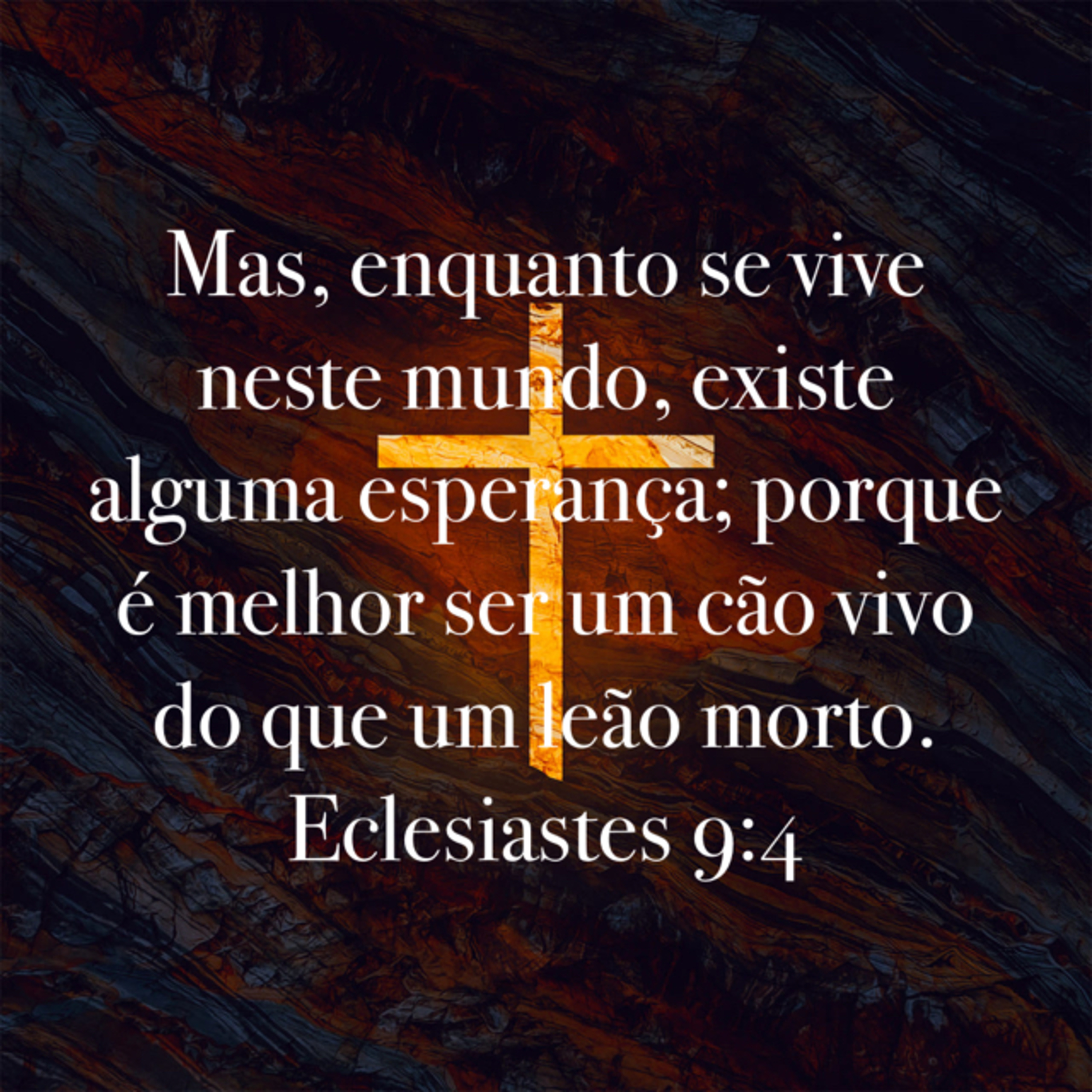 O Livro Mais Mal-Humorado da Bíblia: A morte é inevitável e a vida imprevisível (Eclesiastes 9) episode artwork