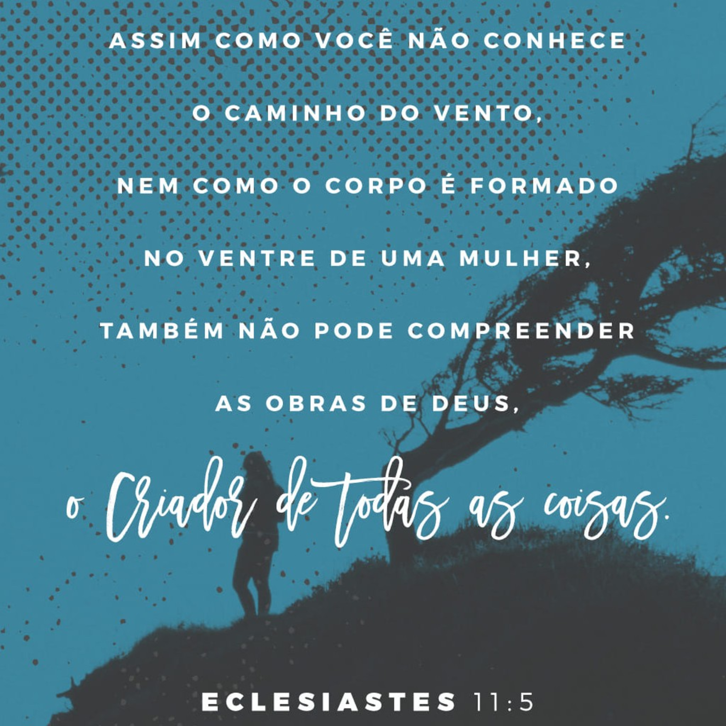 O Livro Mais Mal-humorado da Bíblia: A vida é uma aventura, então, viva pela fé (Eclesiastes 11) episode artwork