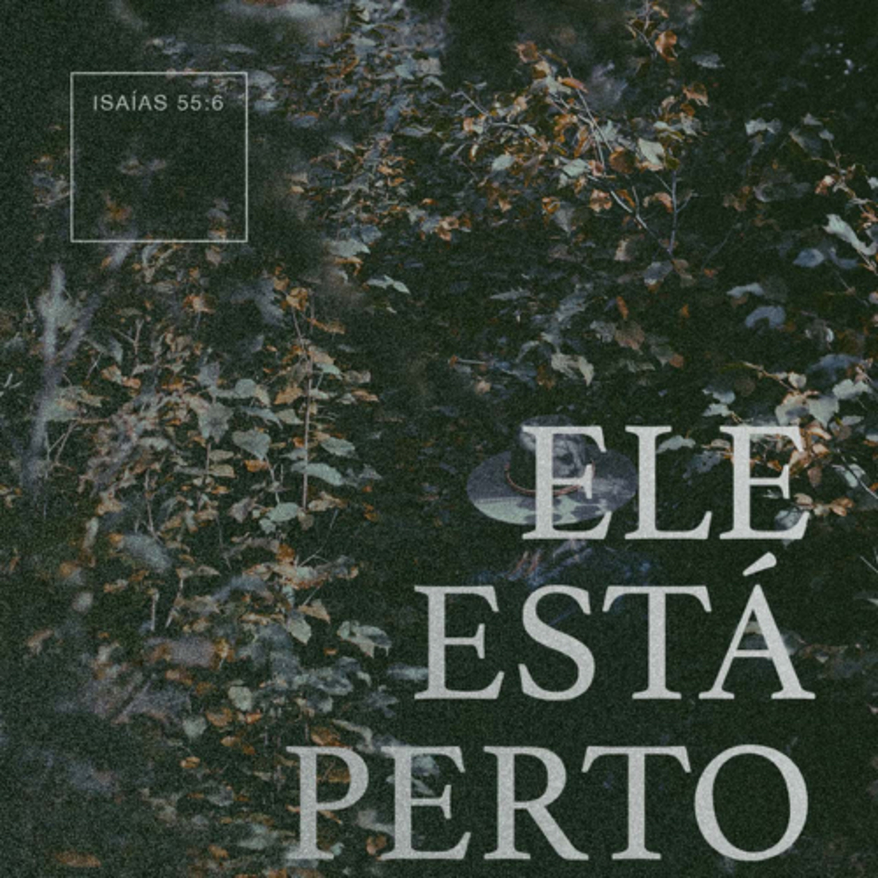 Profeta, Poeta e Político: Saciando a sede (Isaías 55) episode artwork