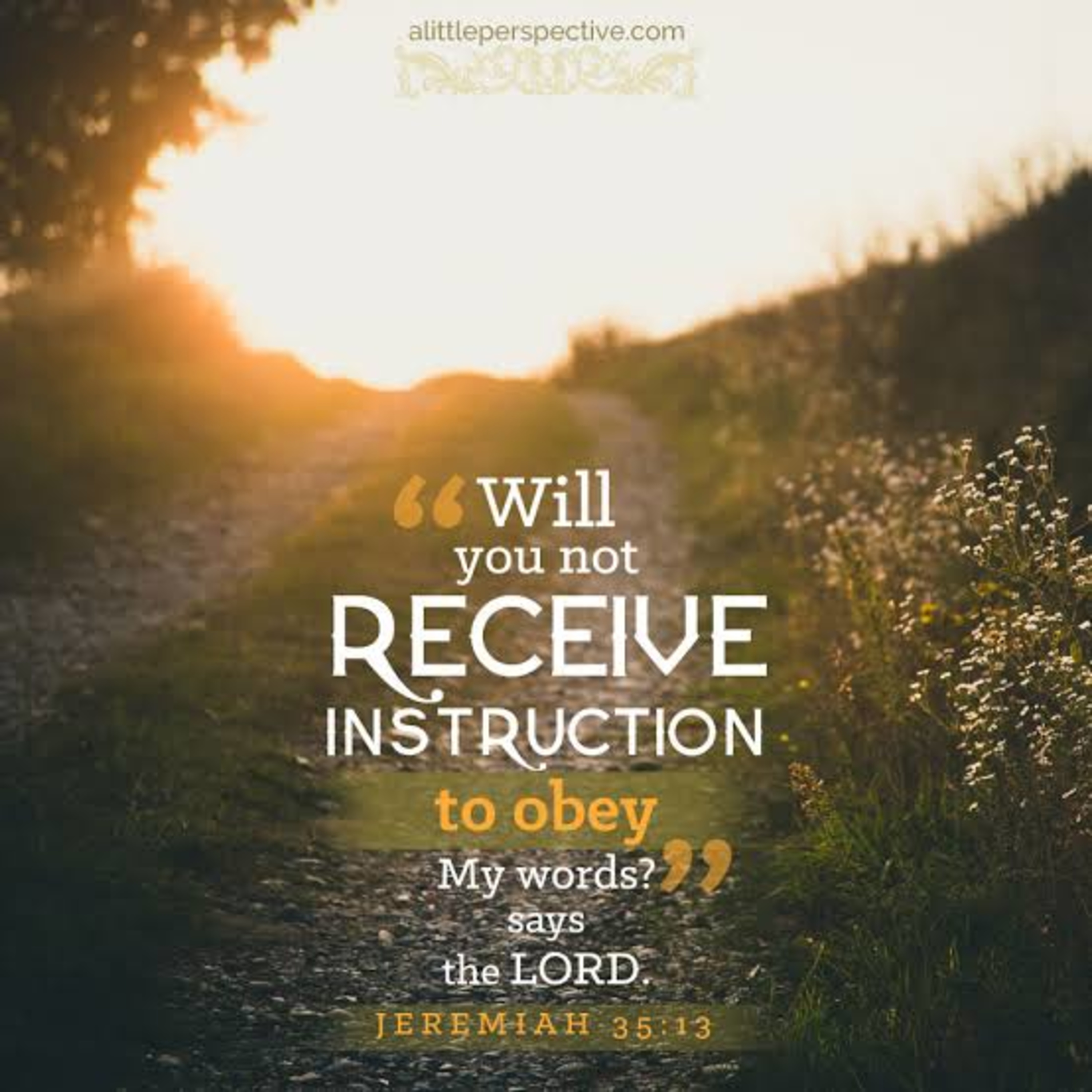 O Profeta Mais Sofrido da Bíblia: Firmes (Jeremias 35) #rpsp episode artwork