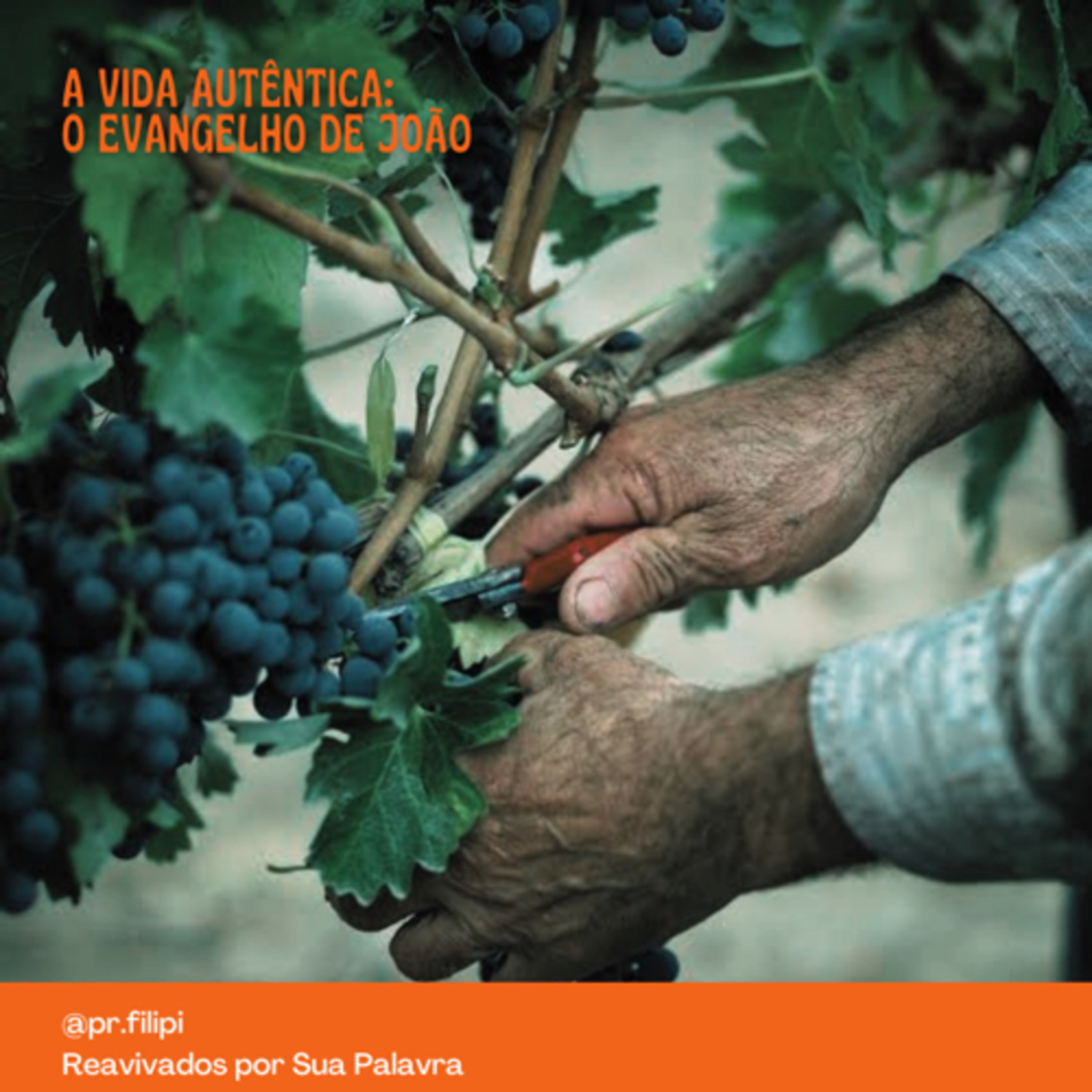 A Vida Autêntica: Como Permanecer em Cristo (João 15) #rpsp episode artwork