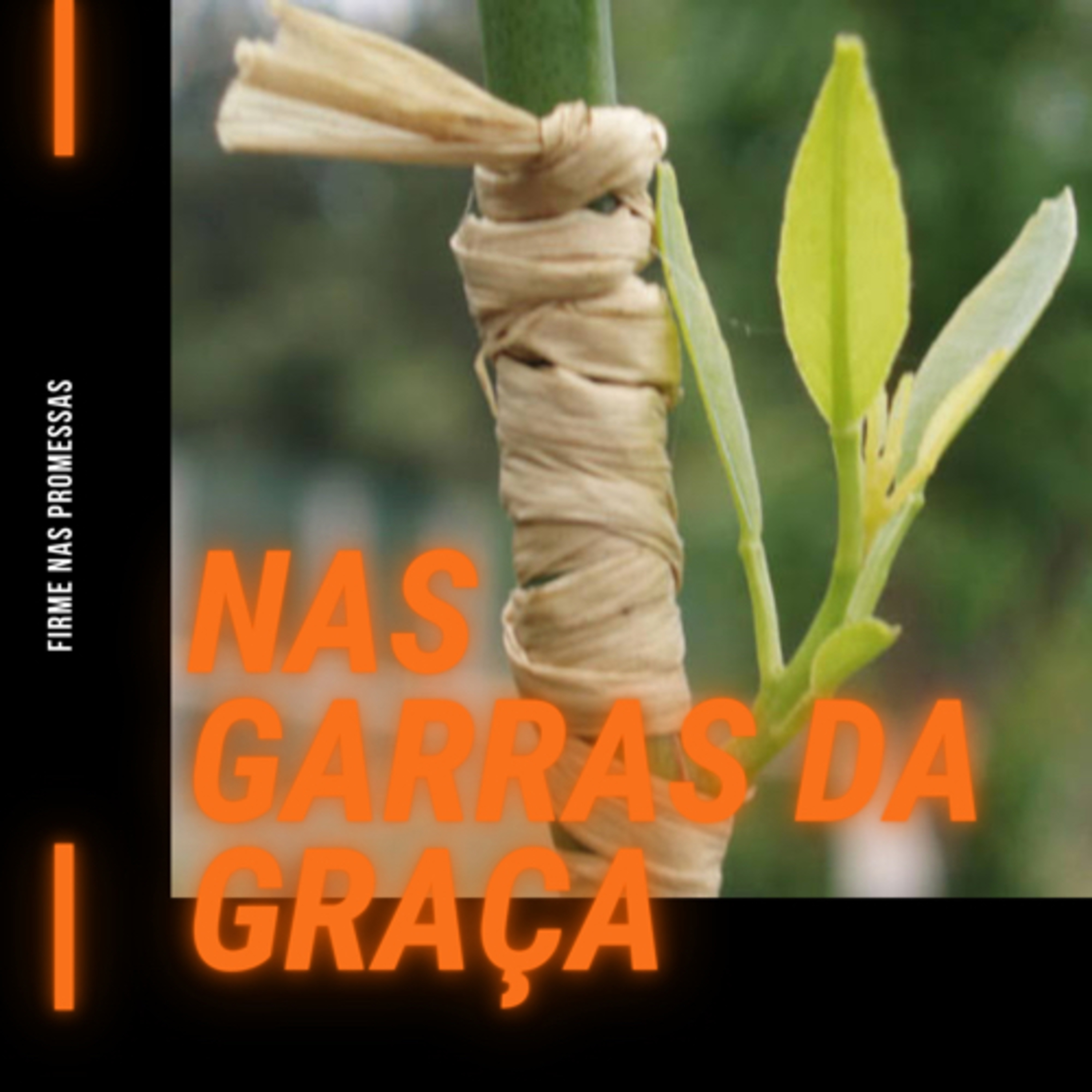 Nas Garras da Graça: Firme nas Promessas (Romanos 11) #rpsp episode artwork