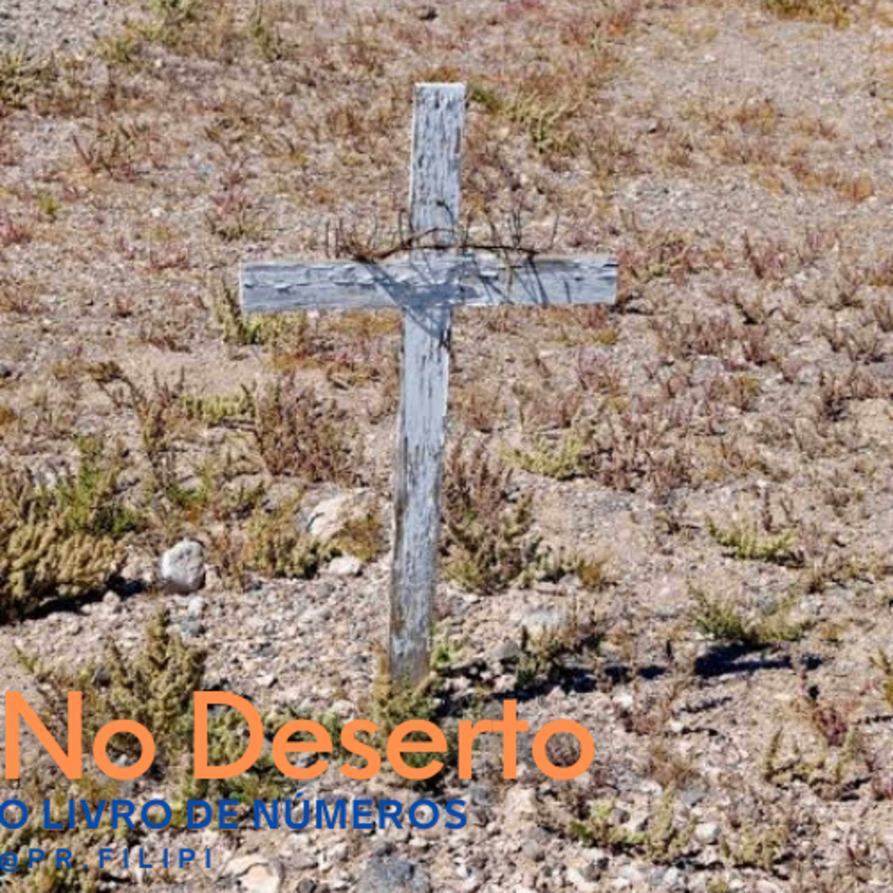 No Deserto: A noite Triste de Israel (Números 14) #rpsp episode artwork