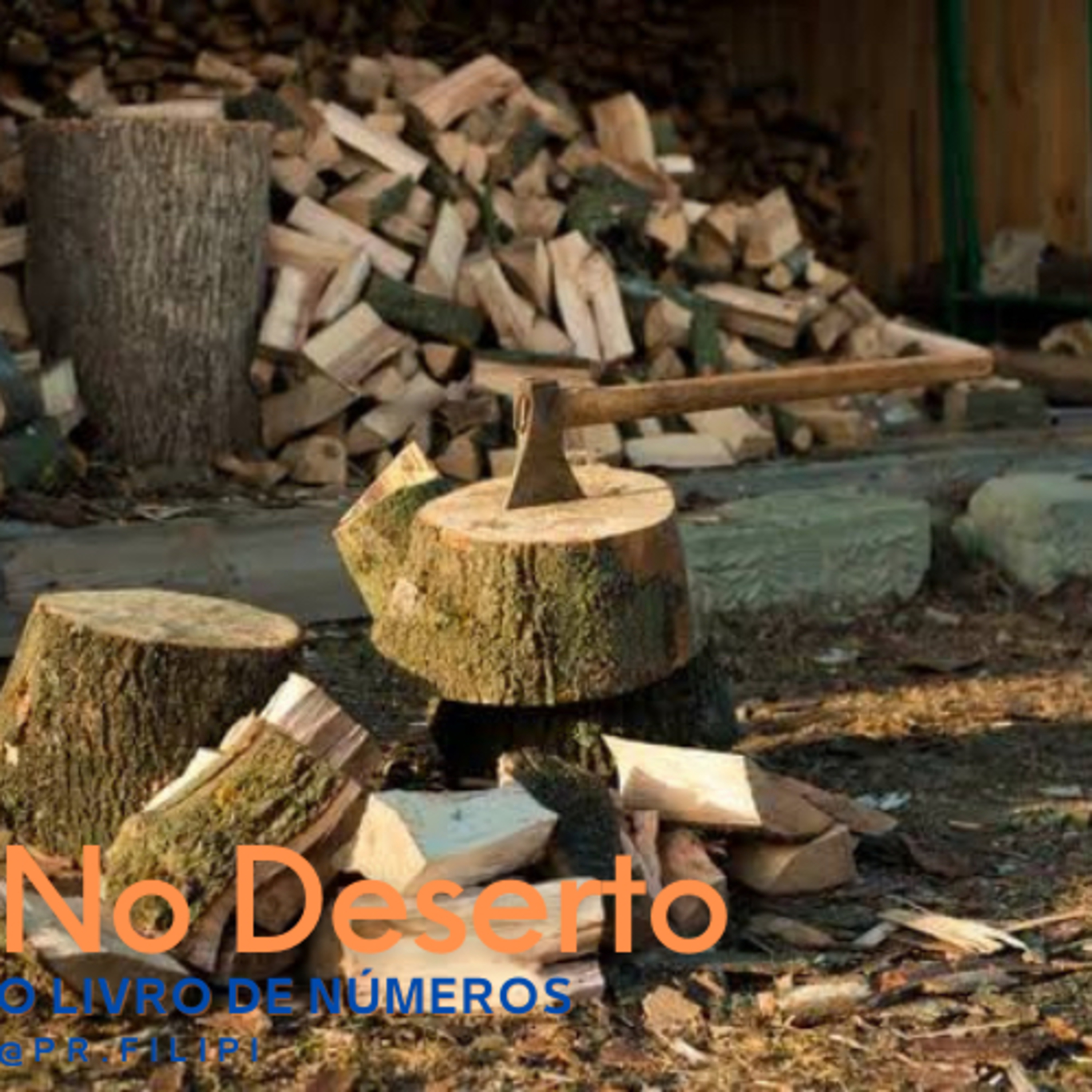 No Deserto: Quando Deus fala Novamente (Números 15) #rpsp episode artwork