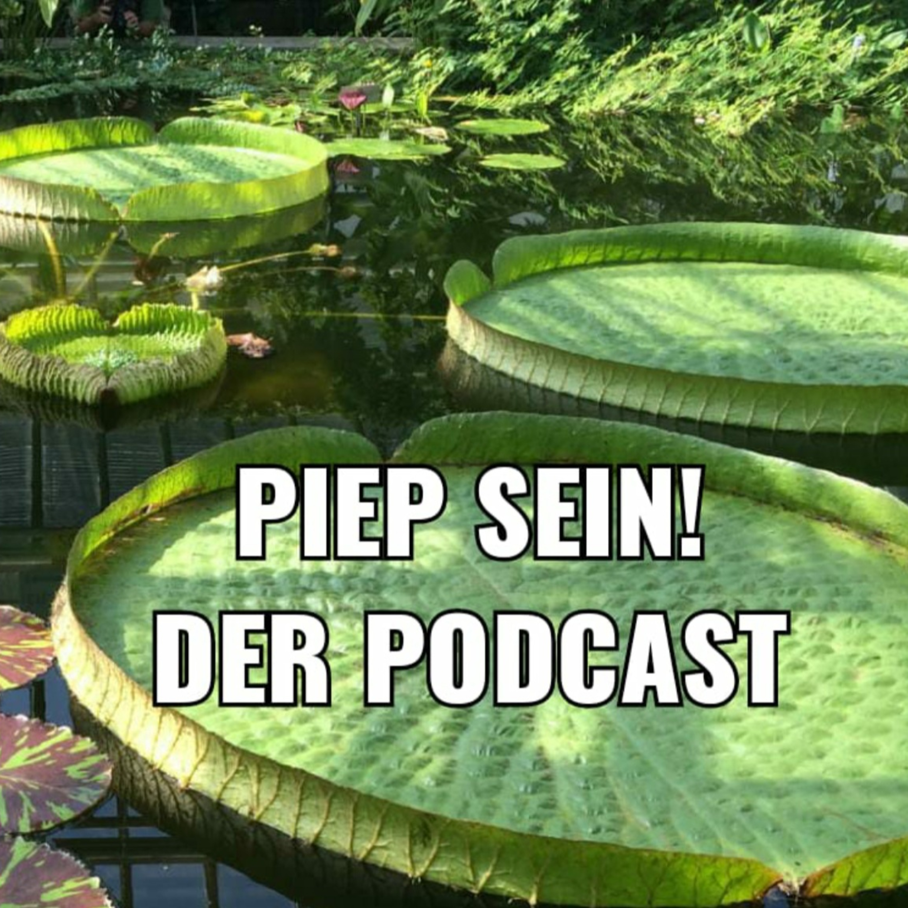 piep sein! Der \