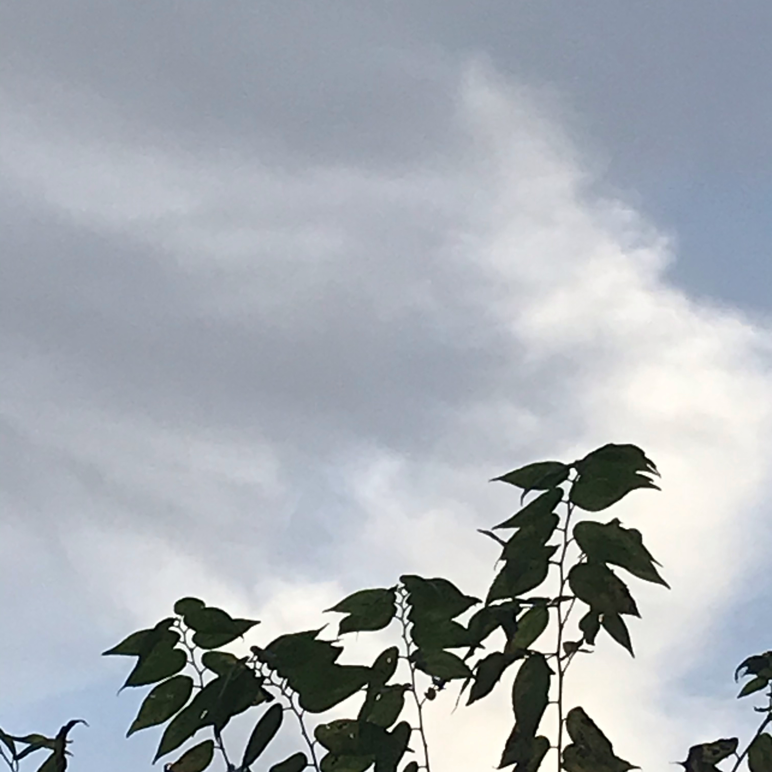 QWEEN “ICU Listening” Podcast Room