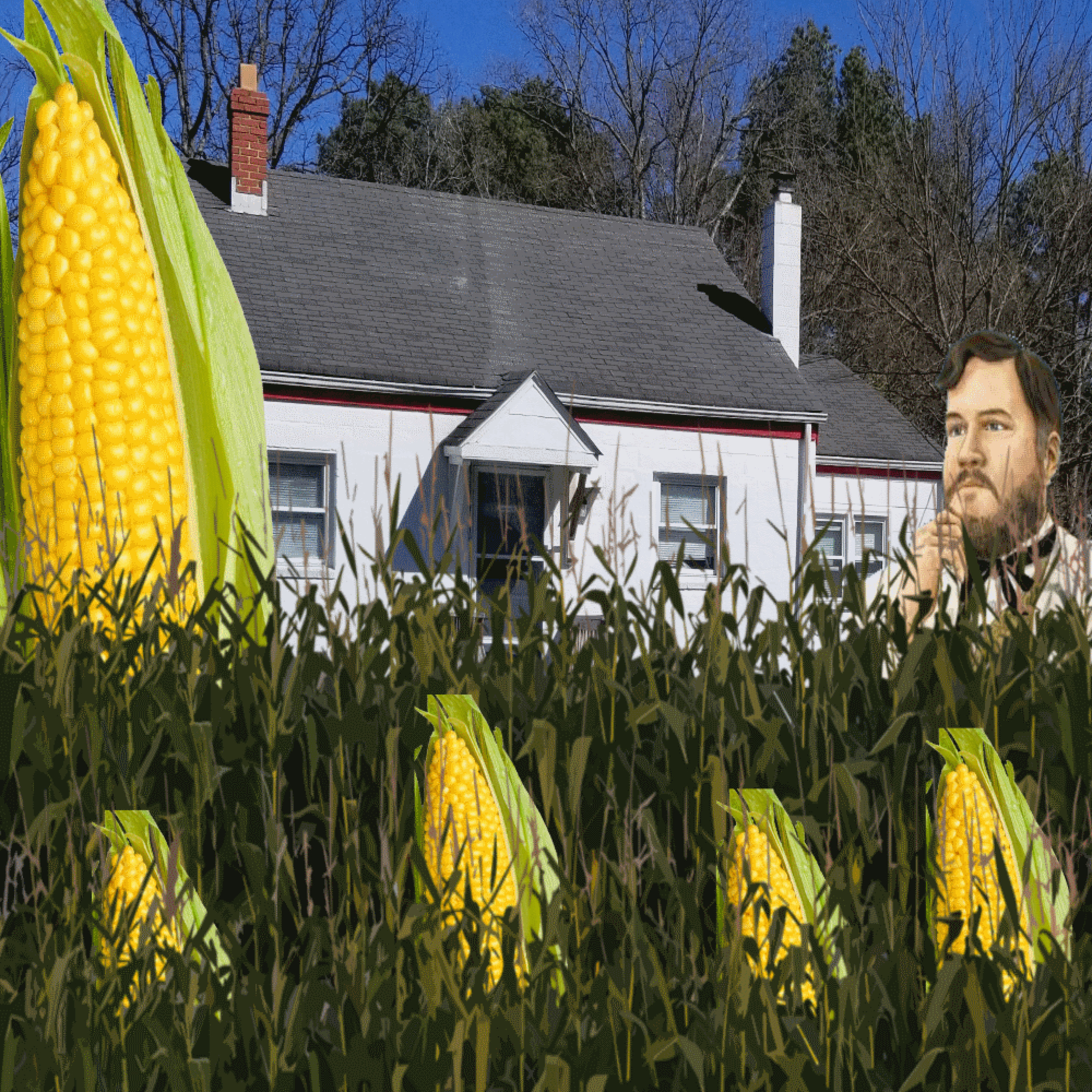 The Corn Harvest: The Mundane Matt Boulderversary Stream