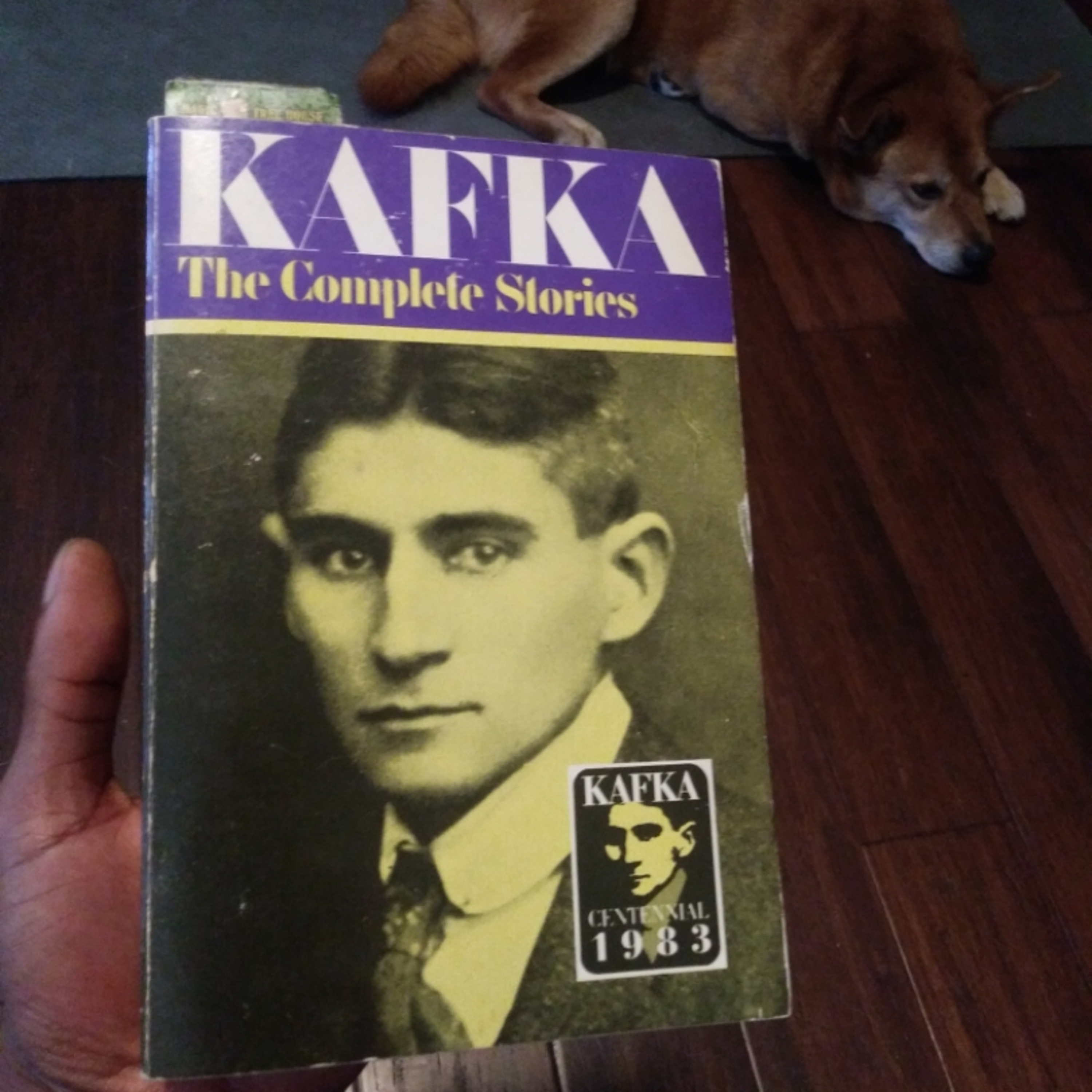 Reading With Phines