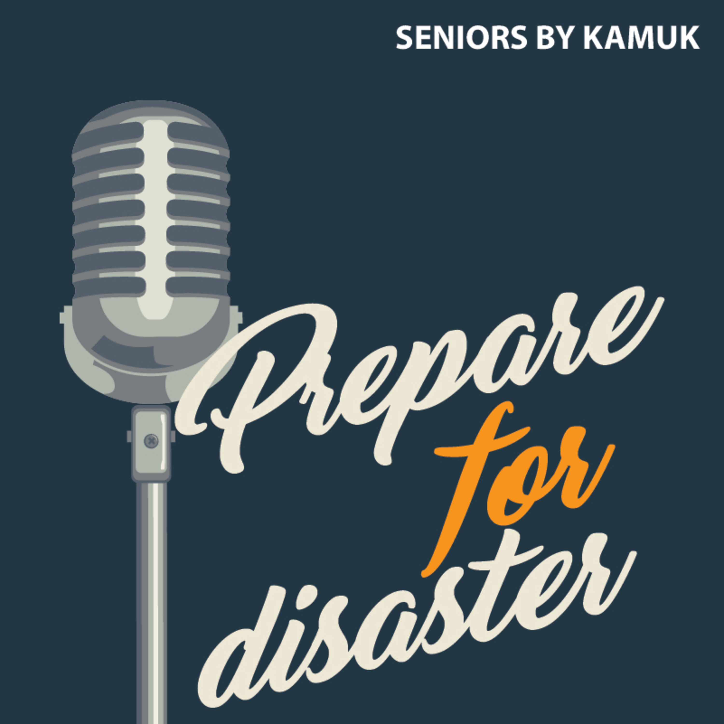 EPISODIO 6. PREPARE FOR DISASTER episode artwork