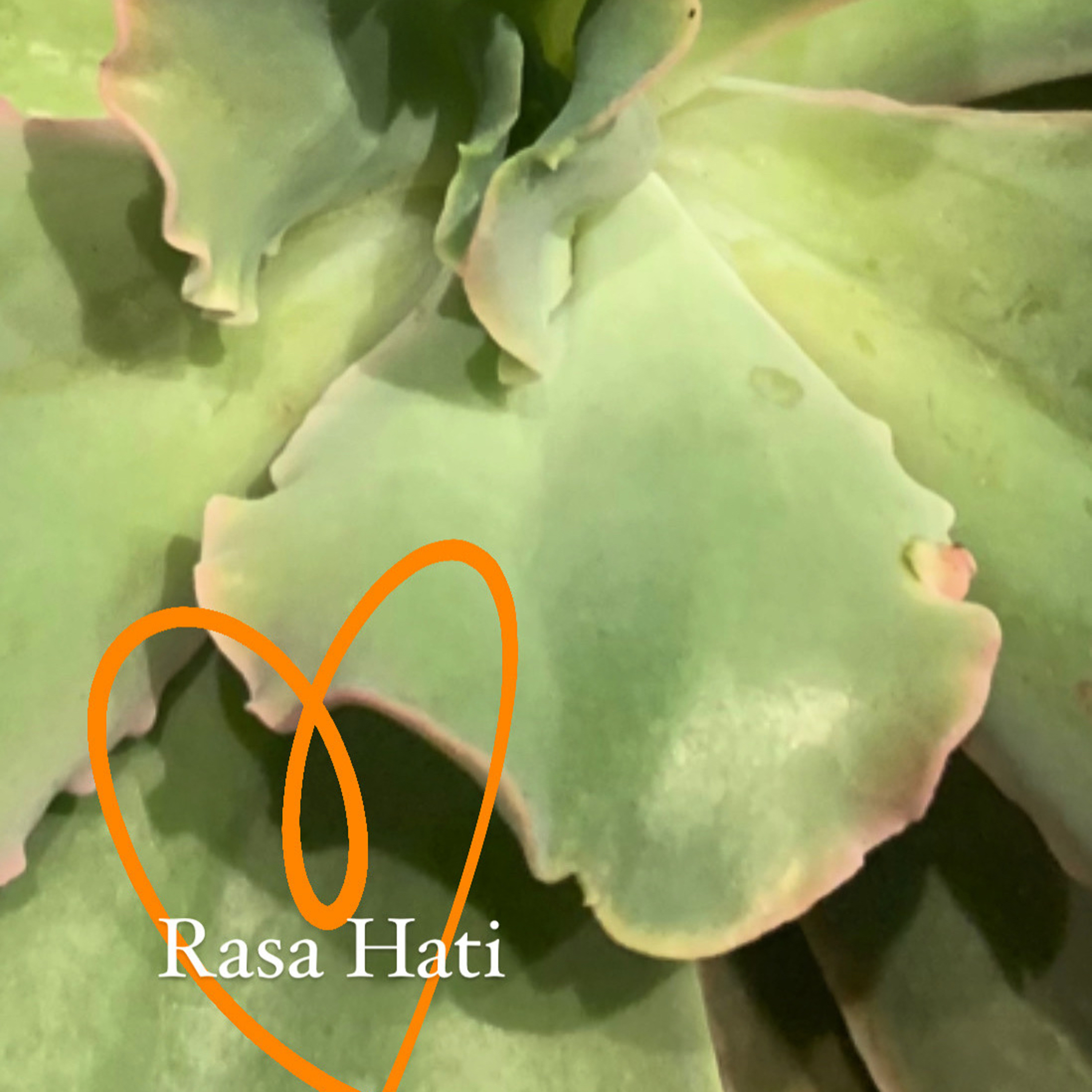 Rasa Hati episode artwork