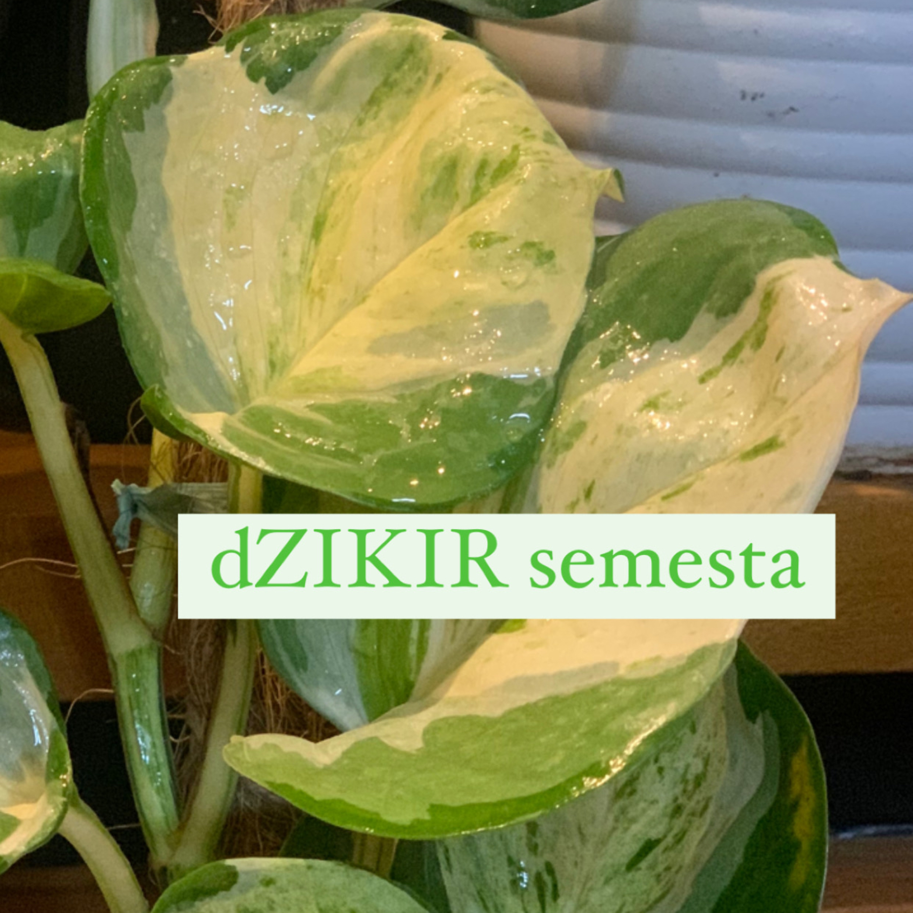 Dzikir Taddabur episode artwork