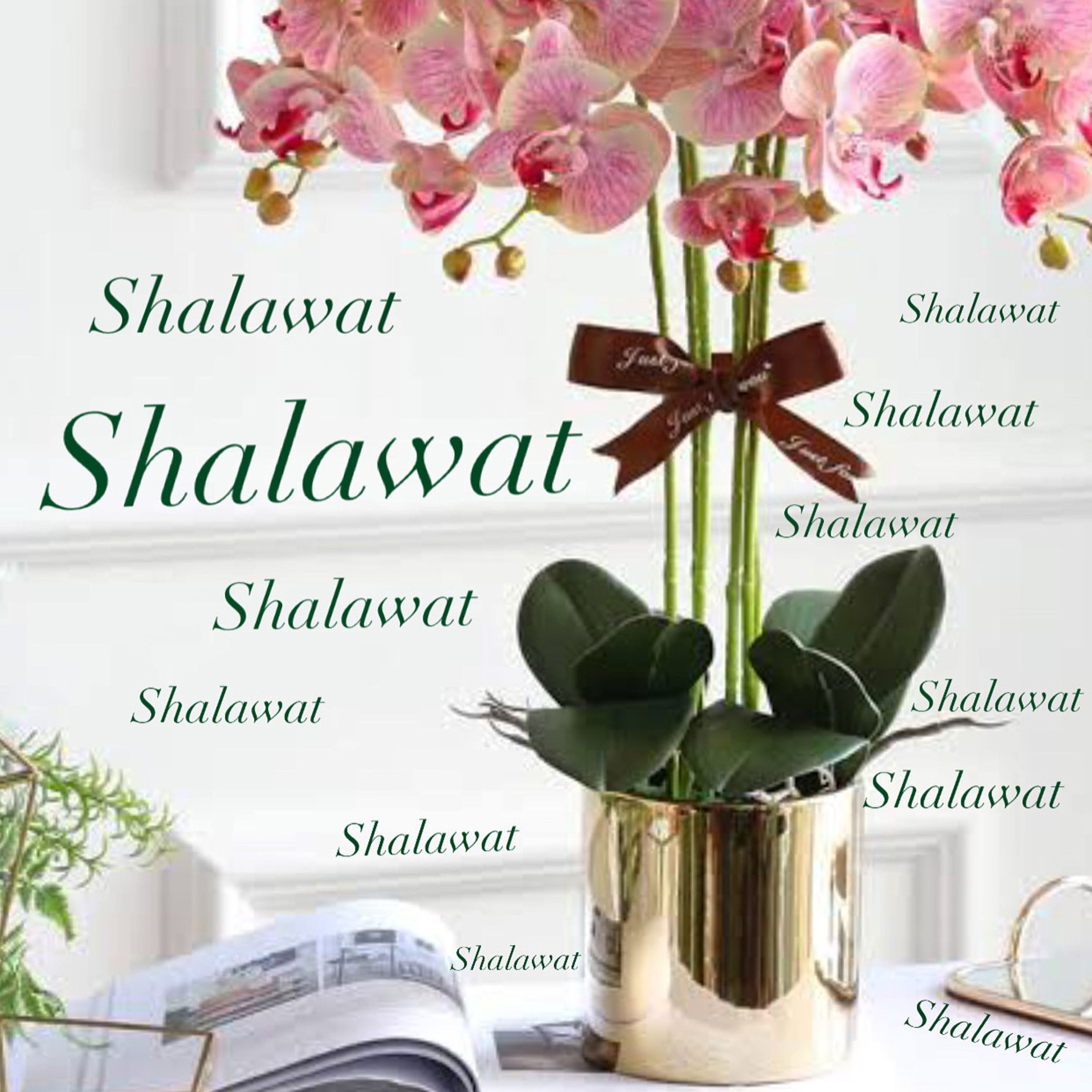 Sholawat episode artwork