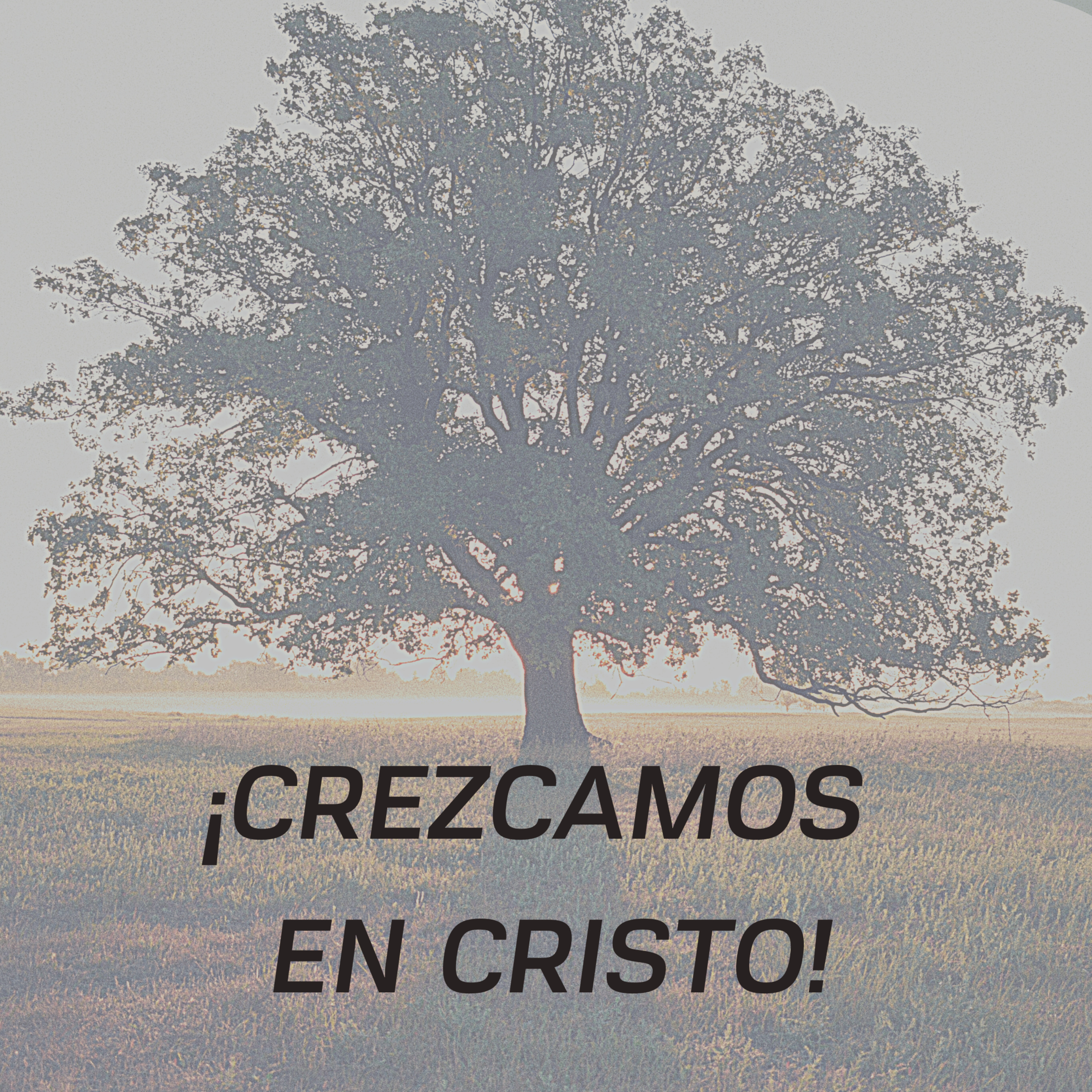 Doctrina y Devoción