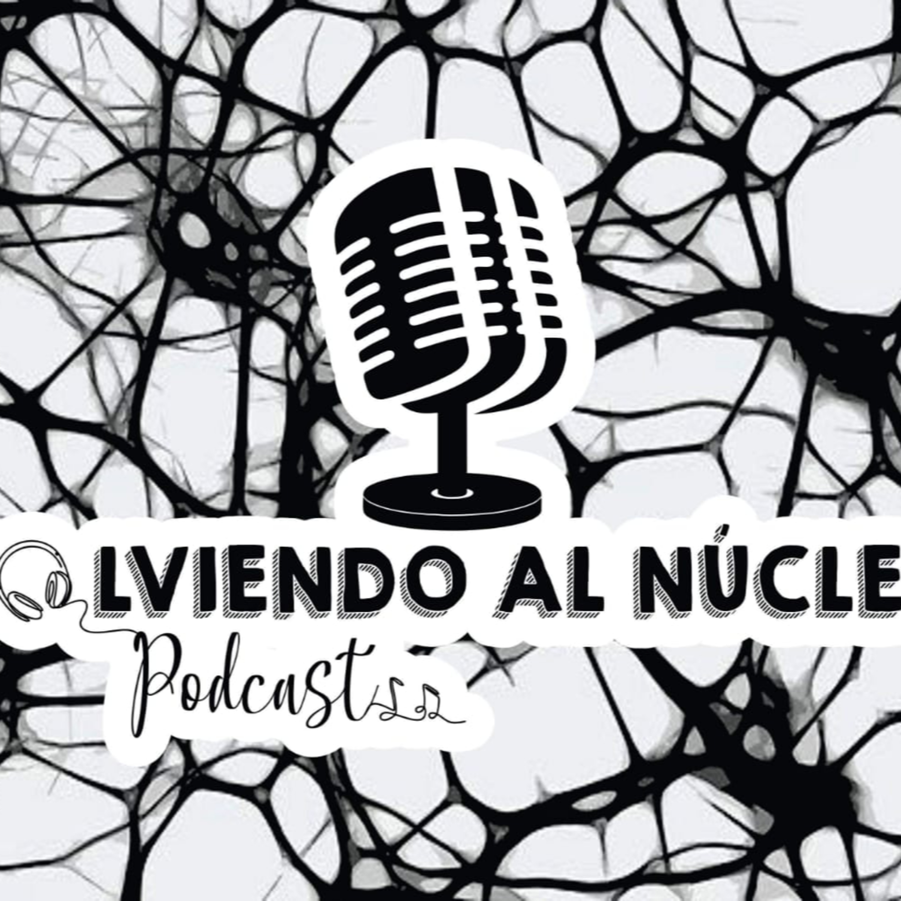 Volviendo al núcleo