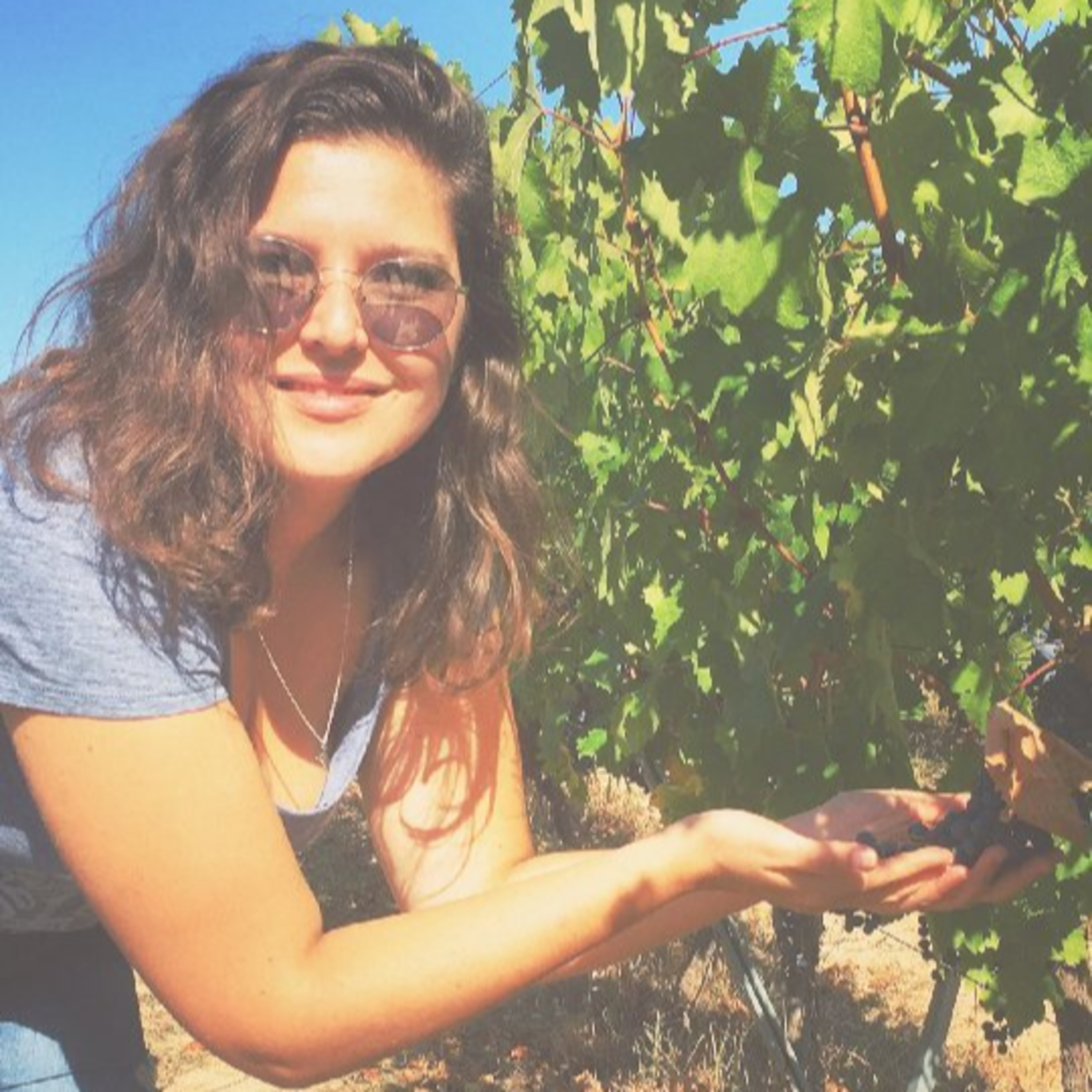 The WineStory - #WineDiamonds