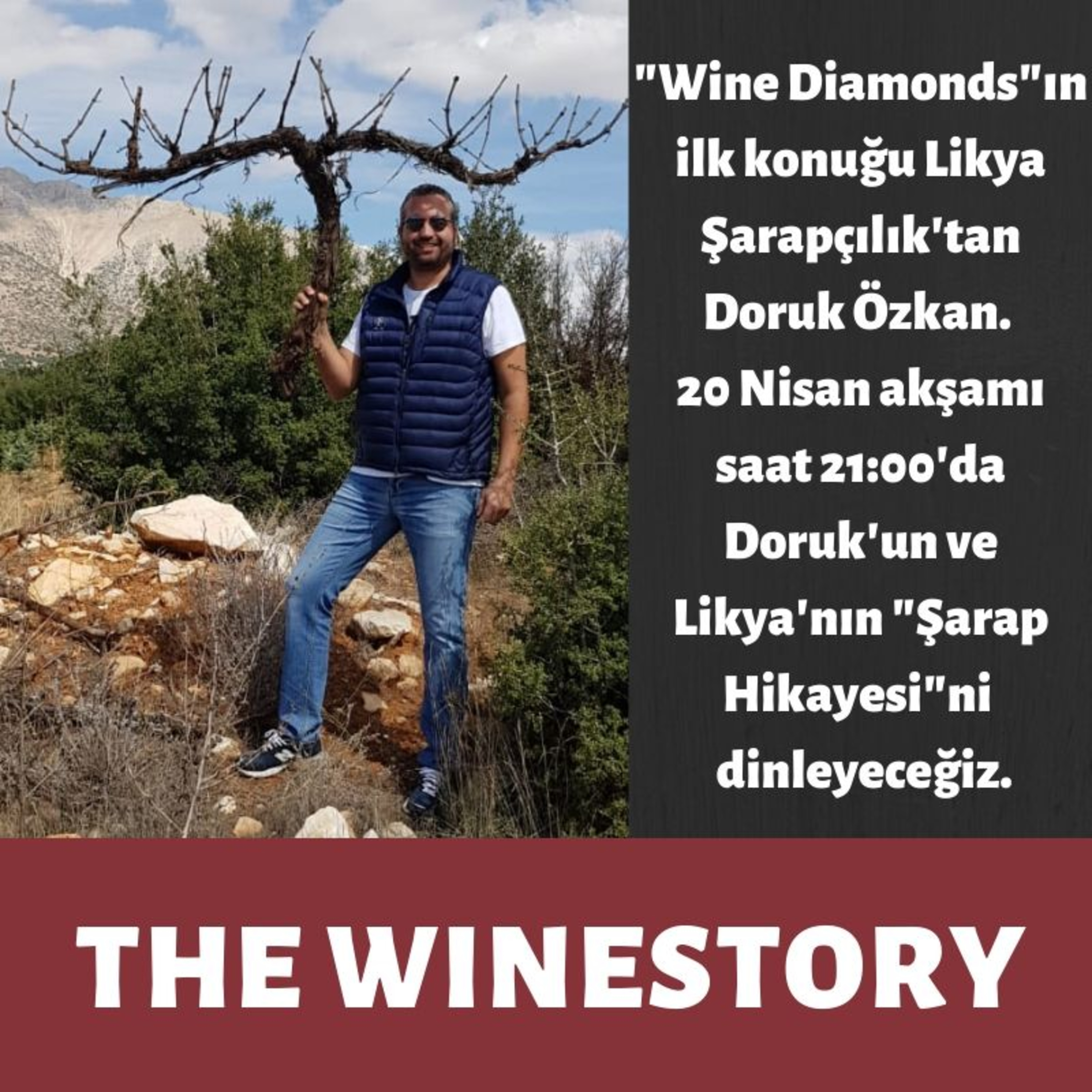 The WineStory - #WineDiamonds