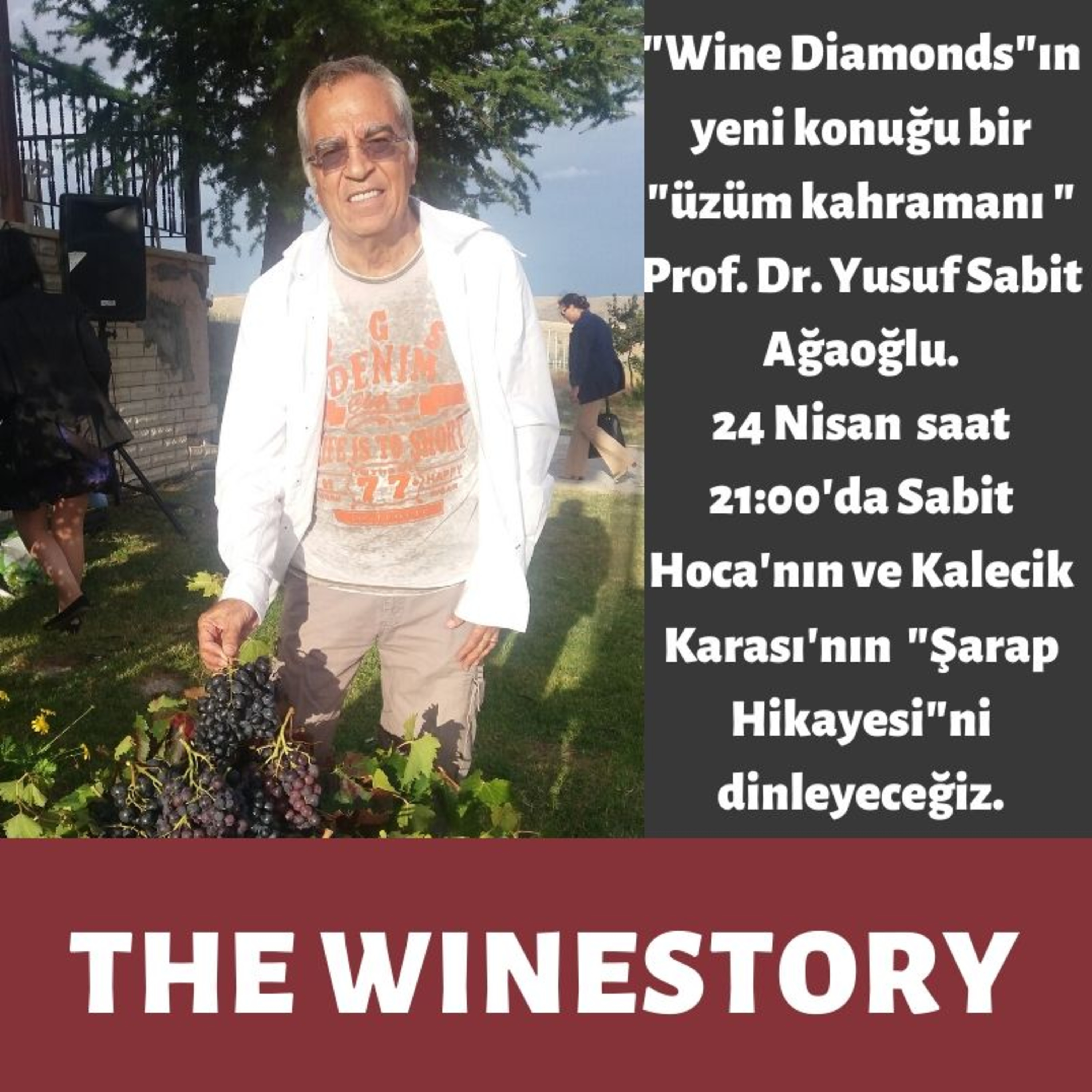 The WineStory - #WineDiamonds