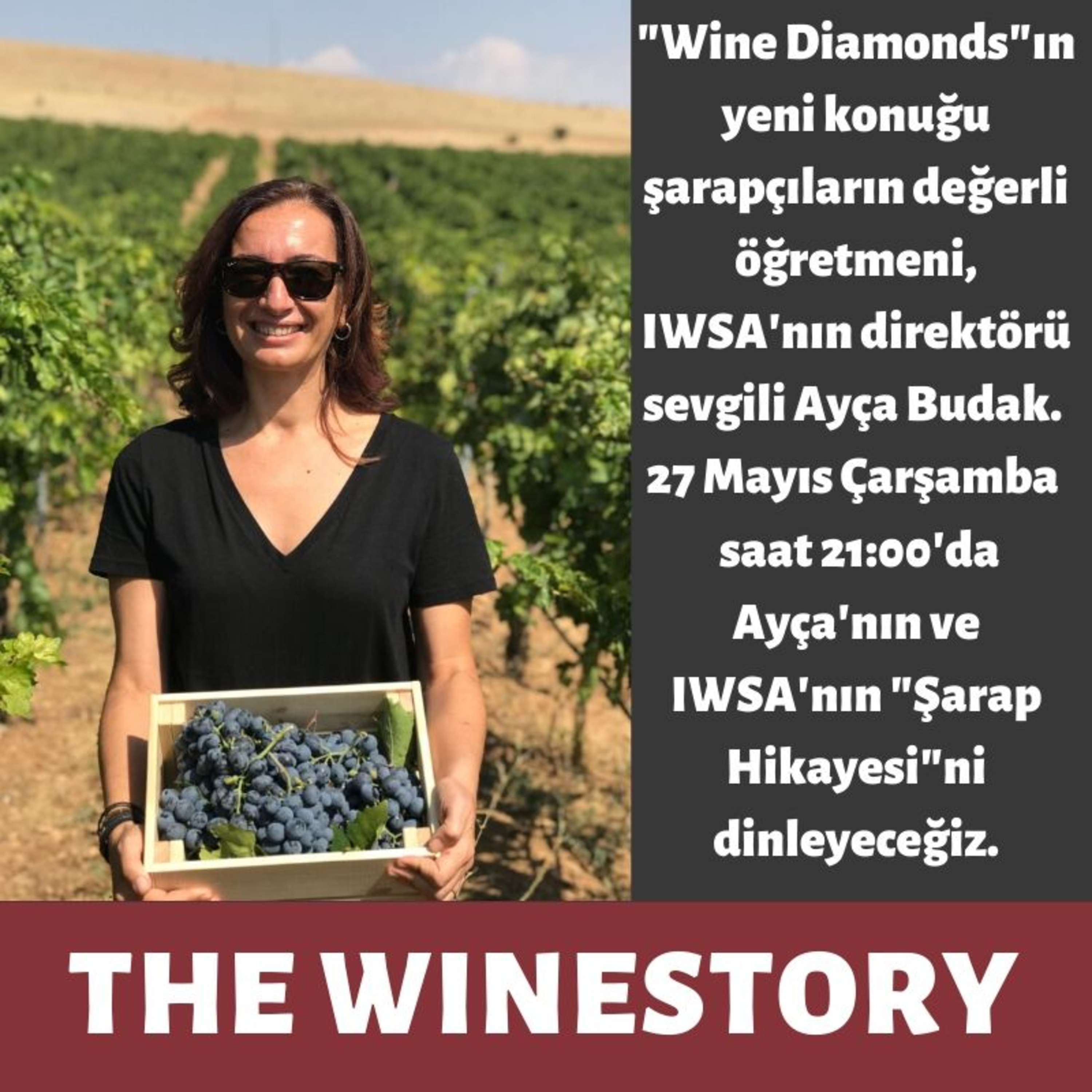 The WineStory - #WineDiamonds
