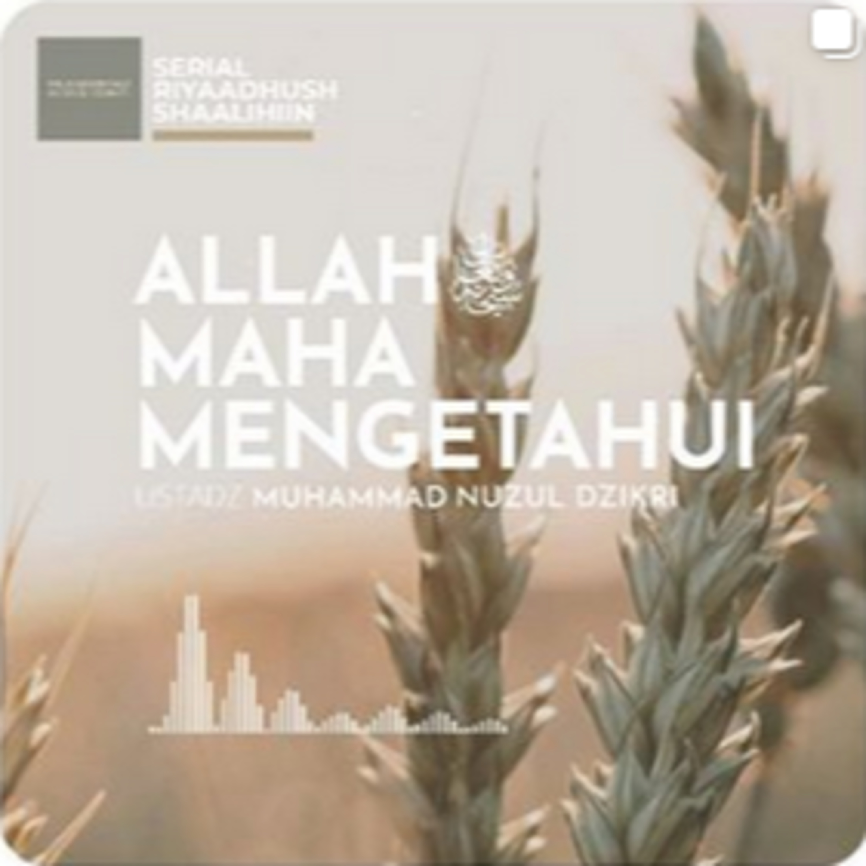 ALLAH MAHA MENGETAHUI (1 menitan)