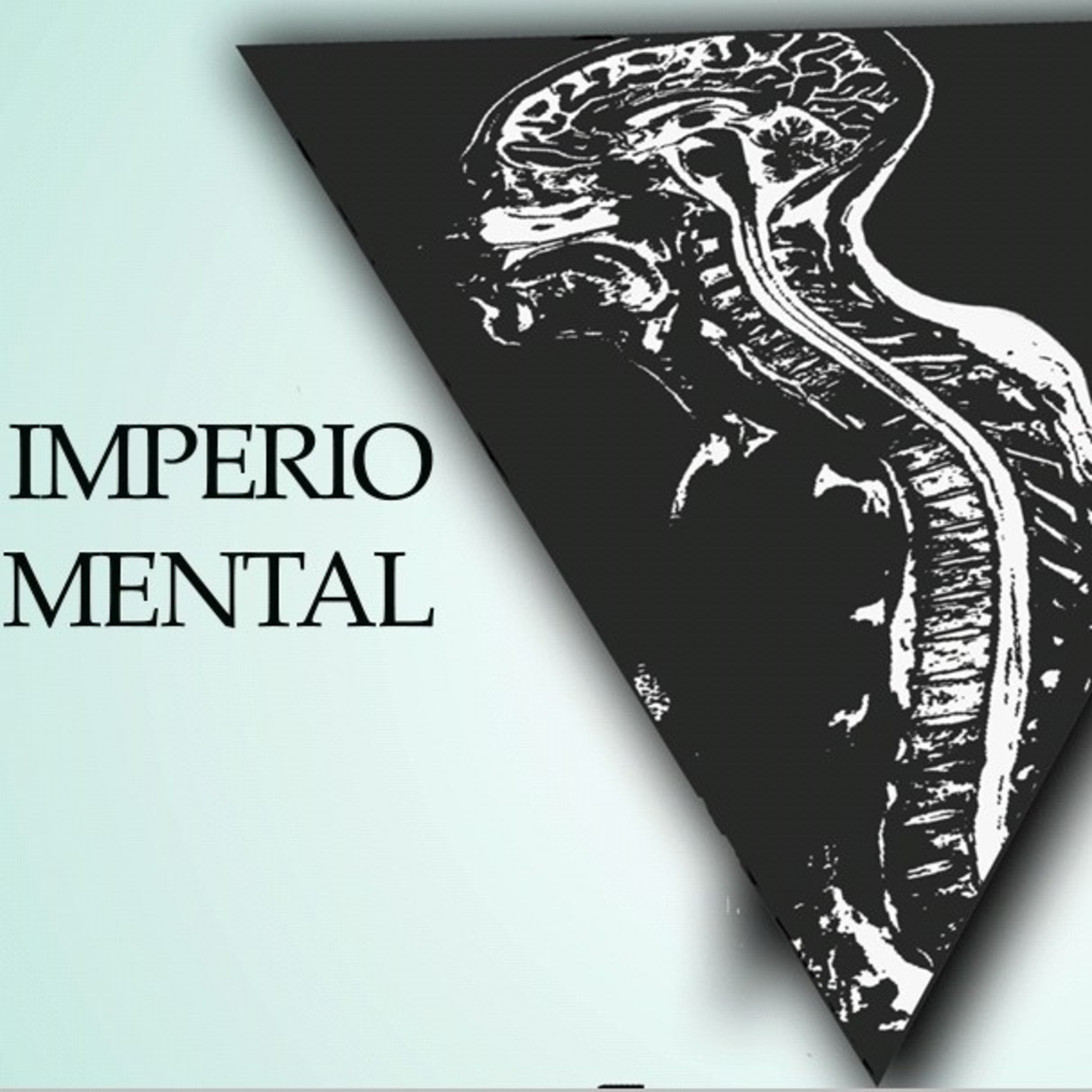 Aprender hablar / capacidad de un reptil / tener congruencia /