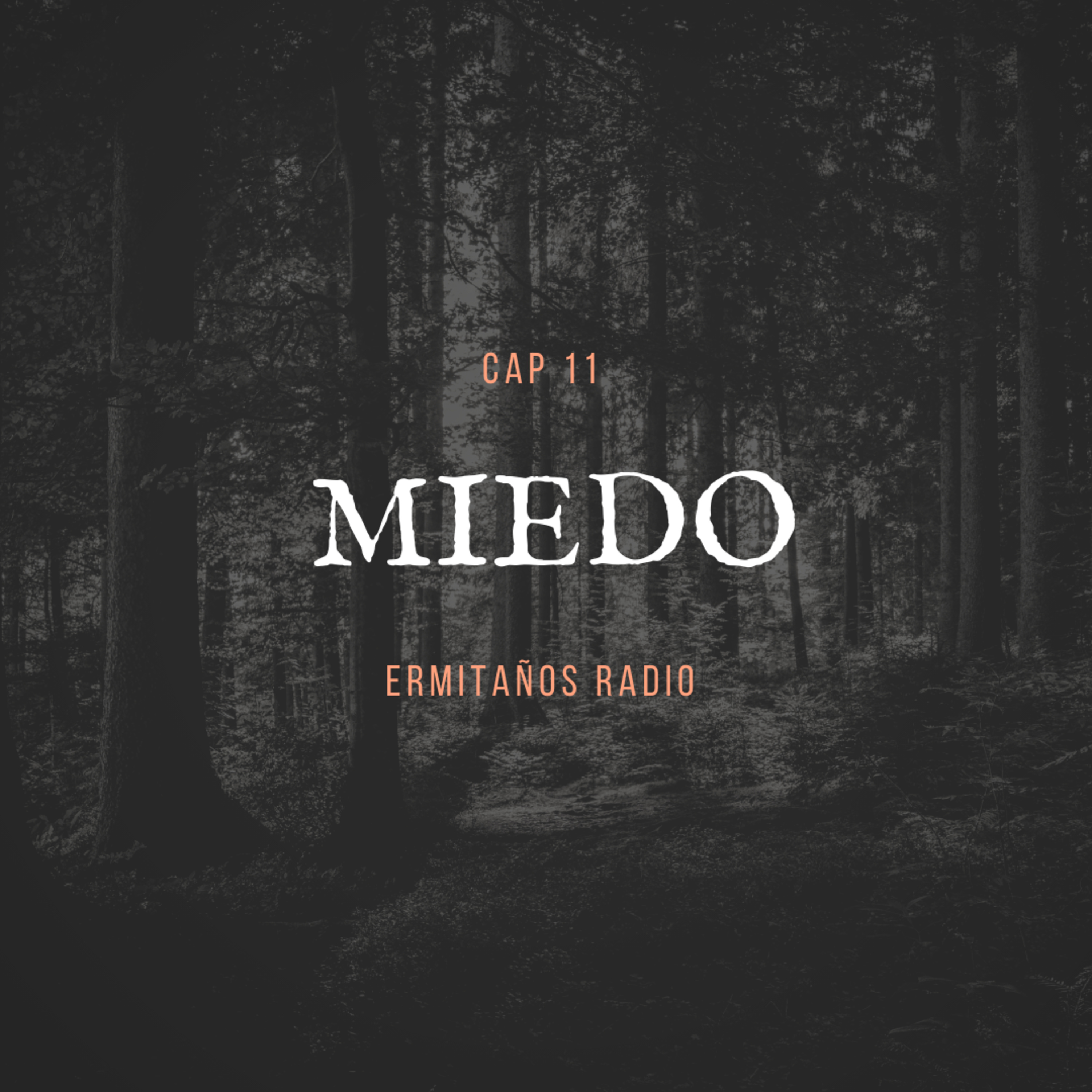 Ermitanos radio