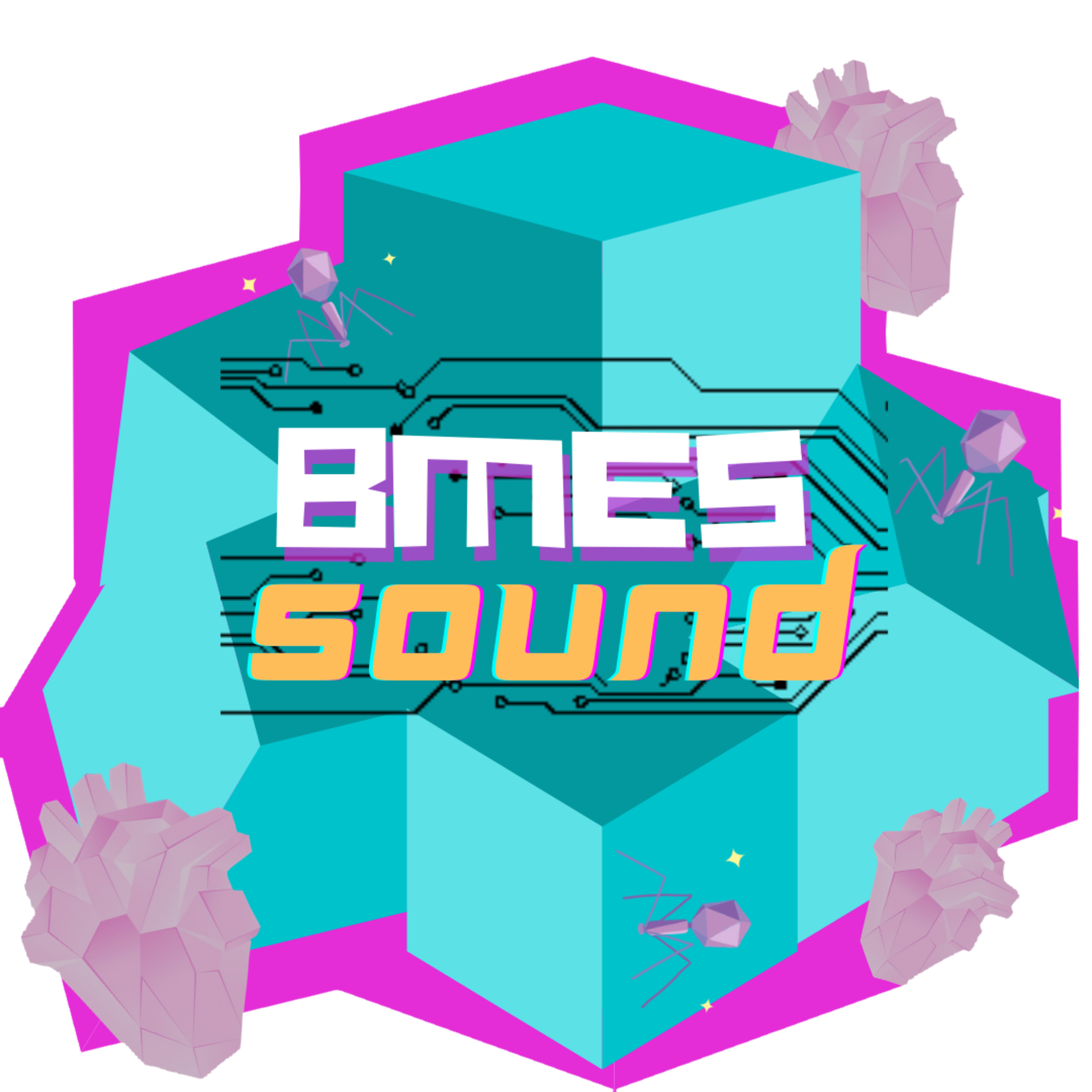 BMESound