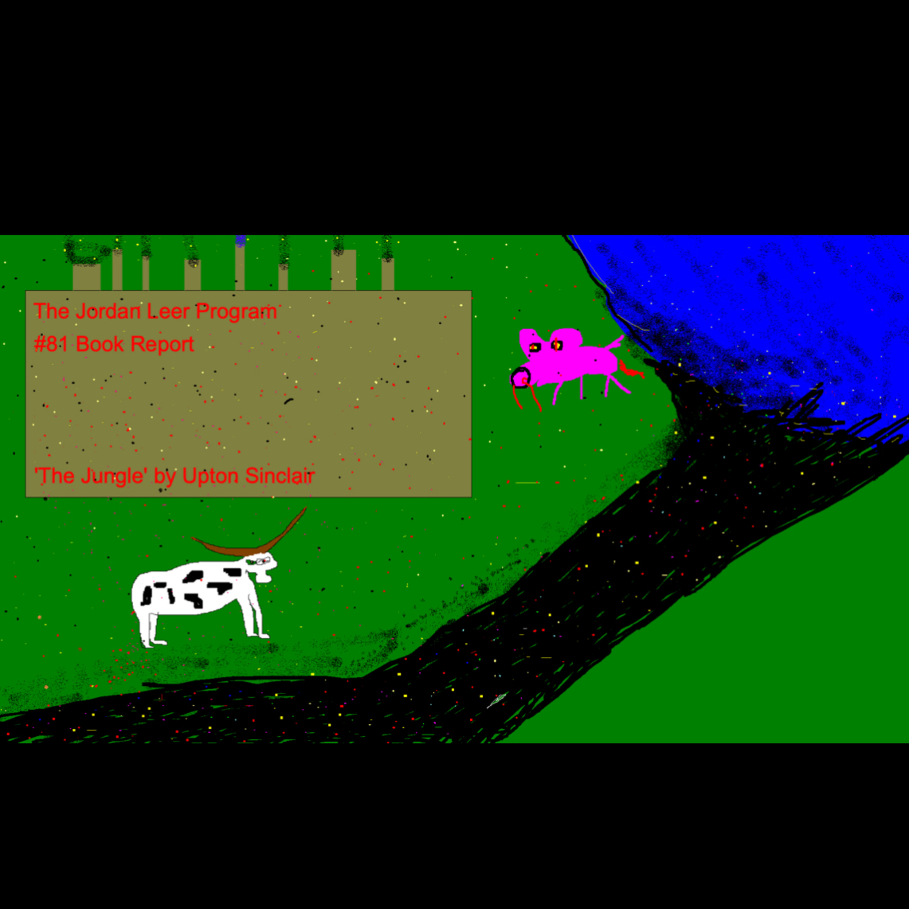 The Jordan Leer Program