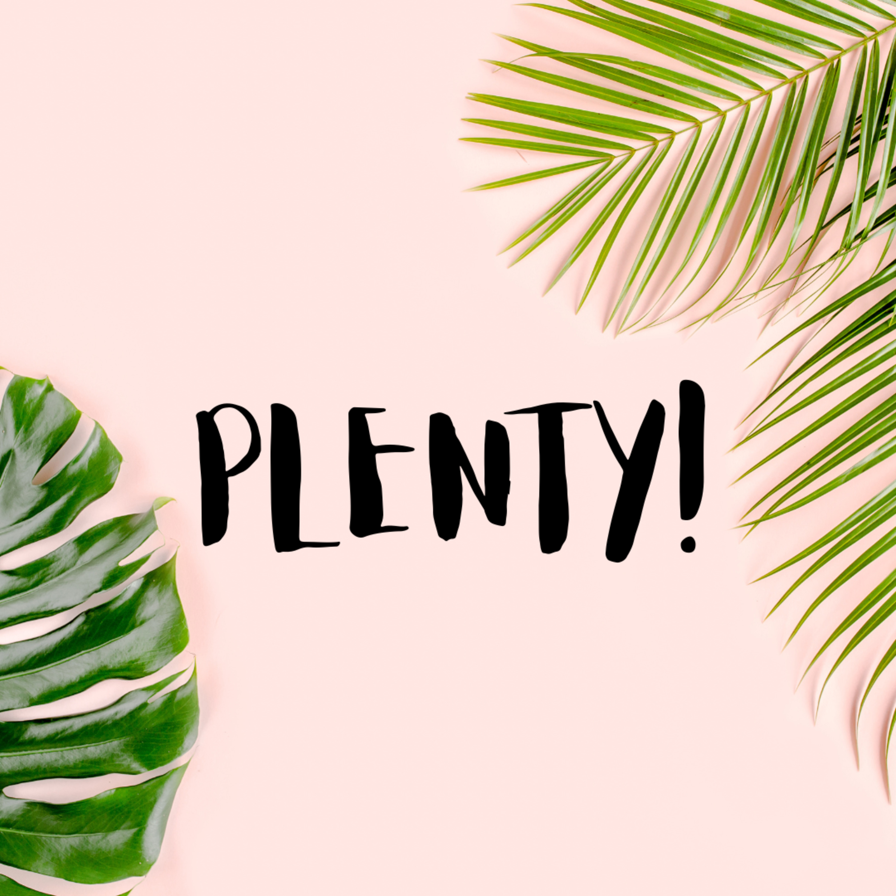 The Plenty Course - Growth, Debt and Indifference : James Cannan