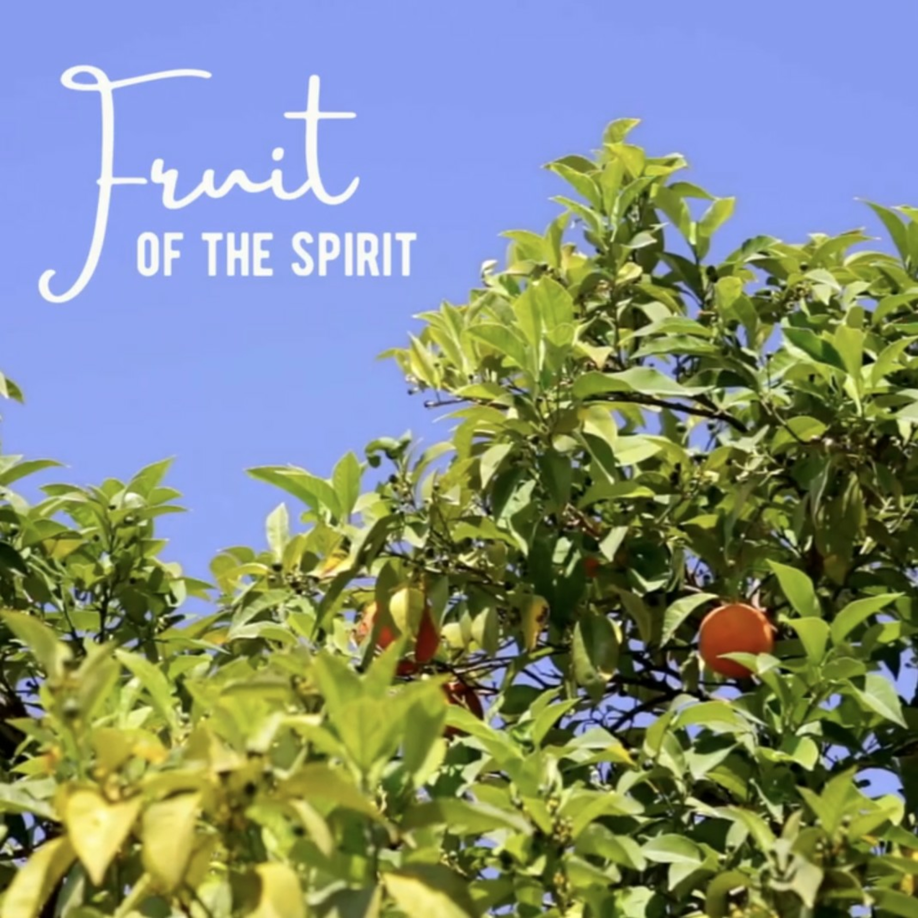 Fruit of the Spirit: Faithfulness - Ian Pengelley episode artwork